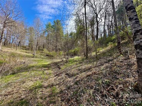 000 Mitchell Avenue Bakersville NC 28705