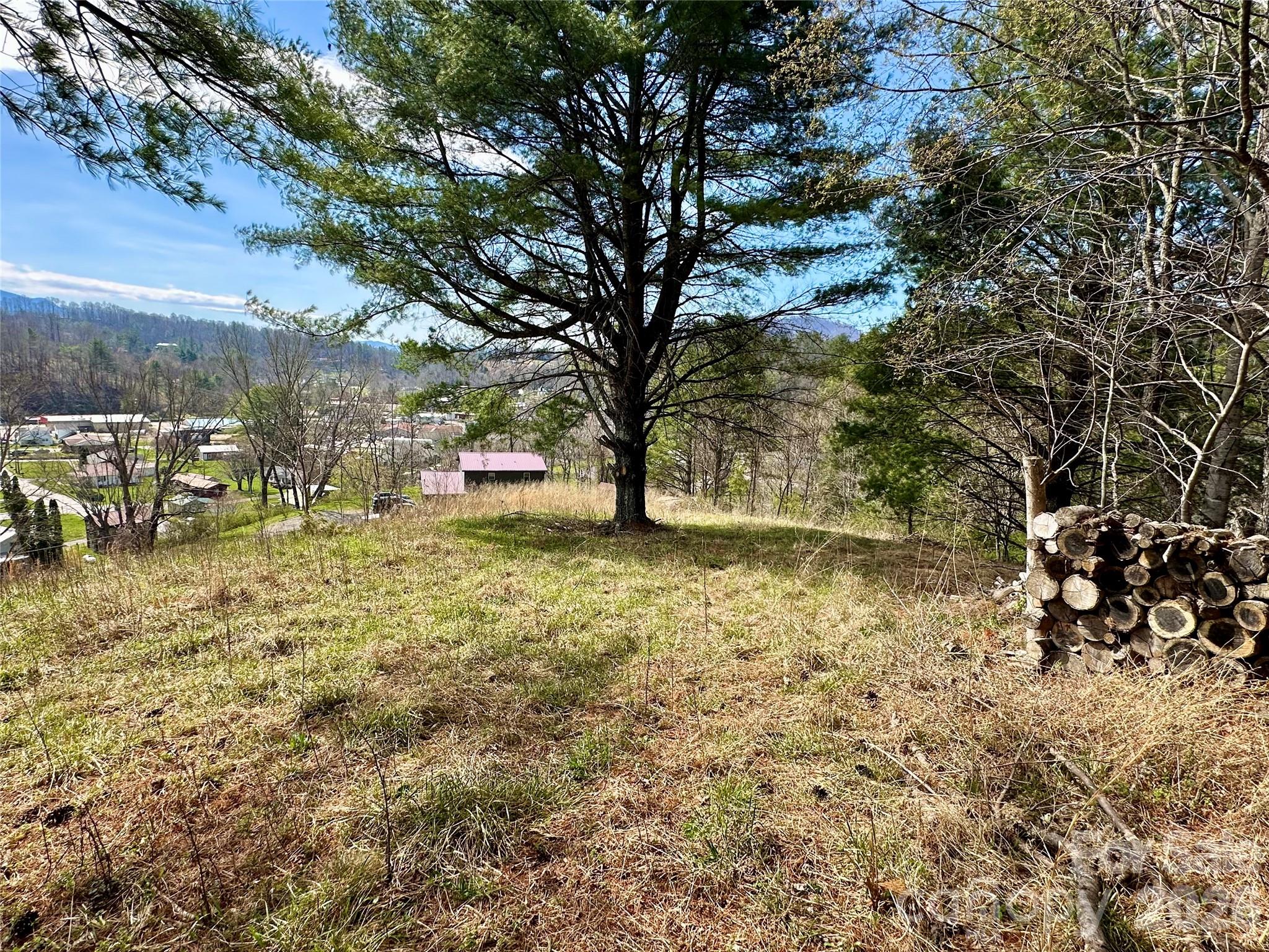 000 Mitchell Avenue Bakersville NC 28705