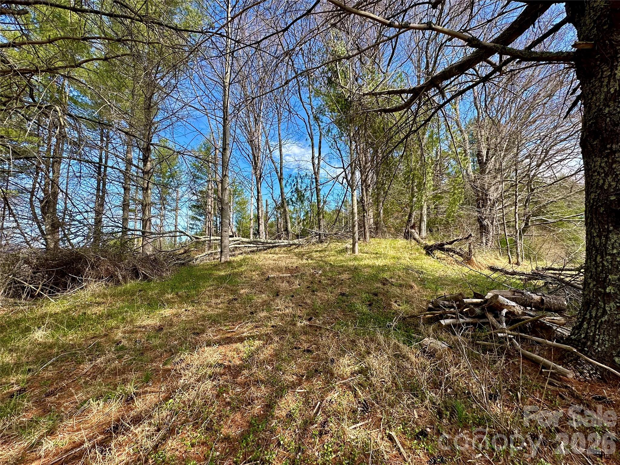 000 Mitchell Avenue Bakersville NC 28705