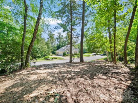 99999 Mistletoe Trail Hendersonville NC 28791