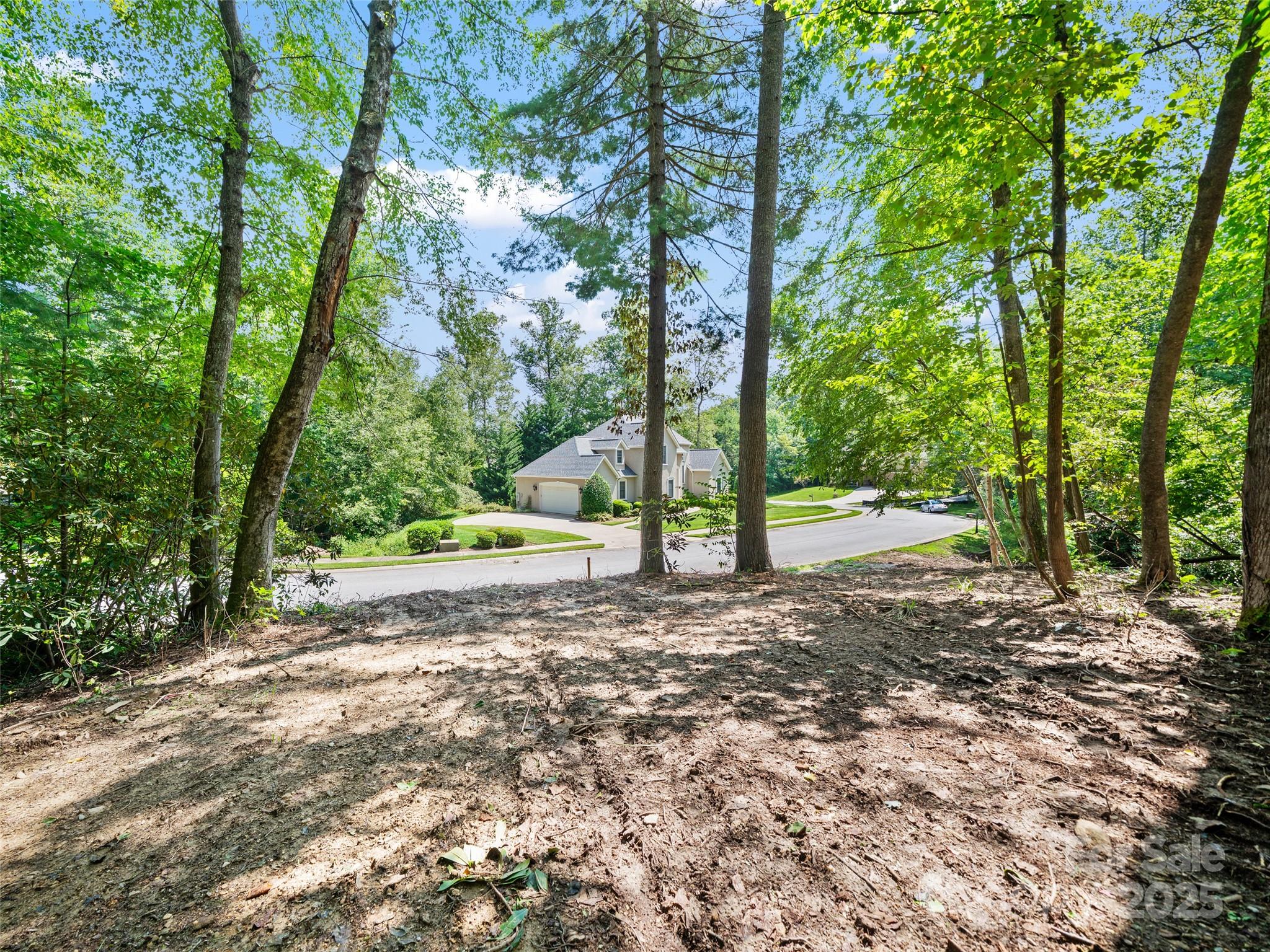 99999 Mistletoe Trail Hendersonville NC 28791