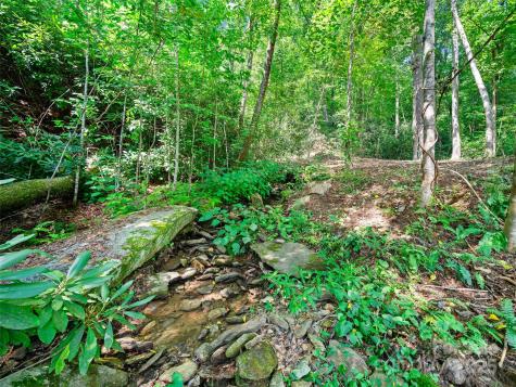 99999 Mistletoe Trail Hendersonville NC 28791