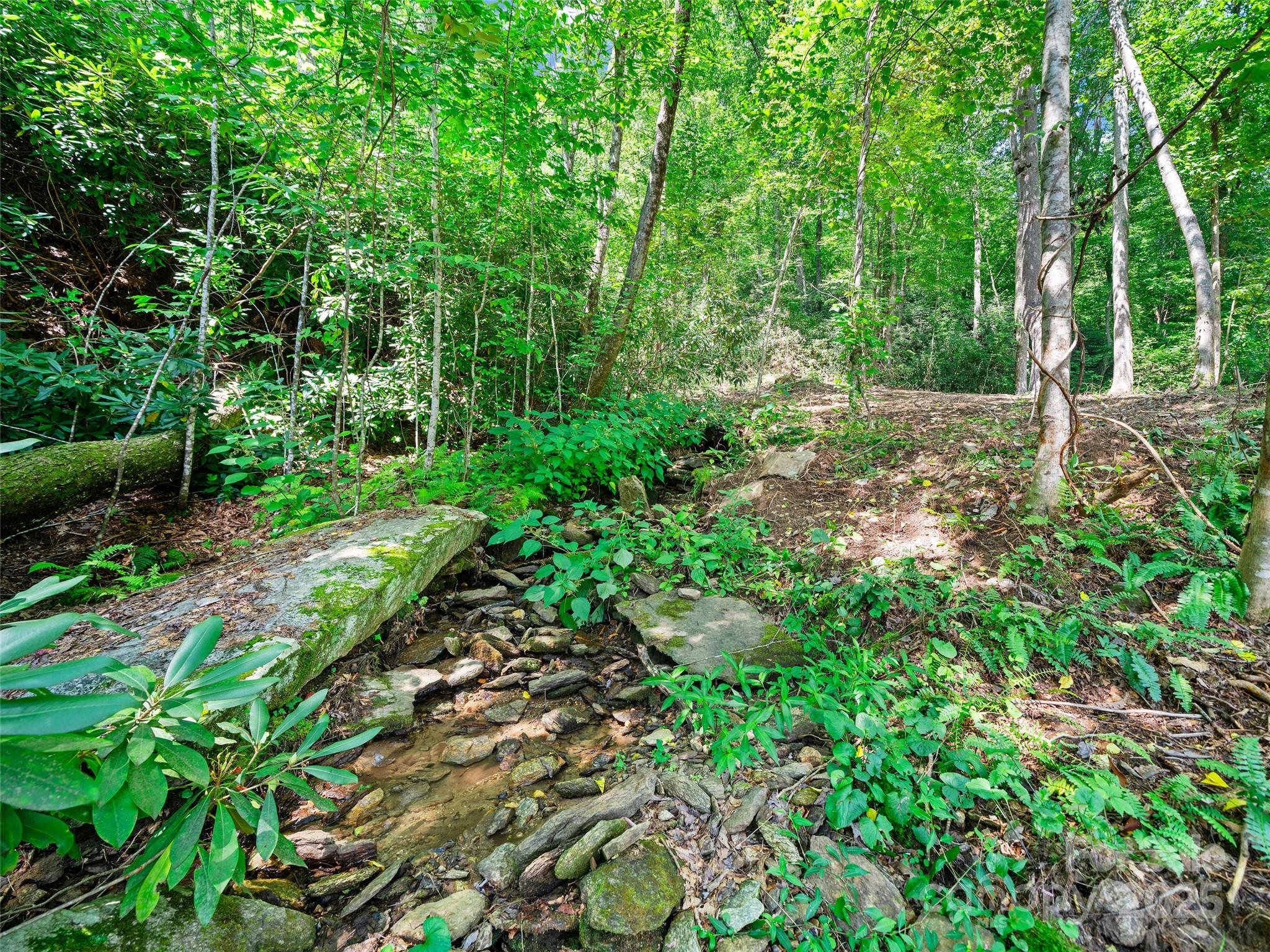 99999 Mistletoe Trail Hendersonville NC 28791
