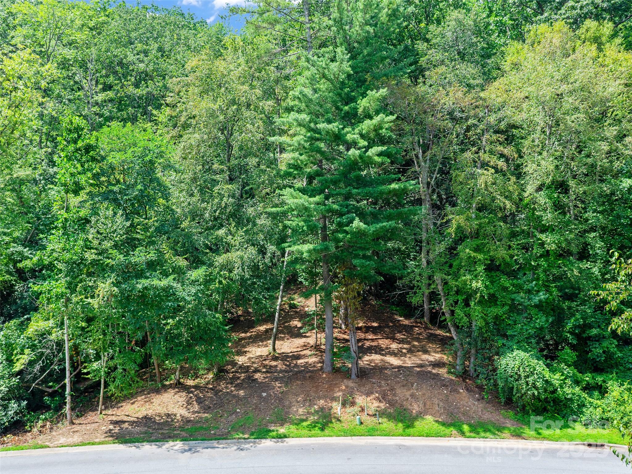 99999 Mistletoe Trail Hendersonville NC 28791
