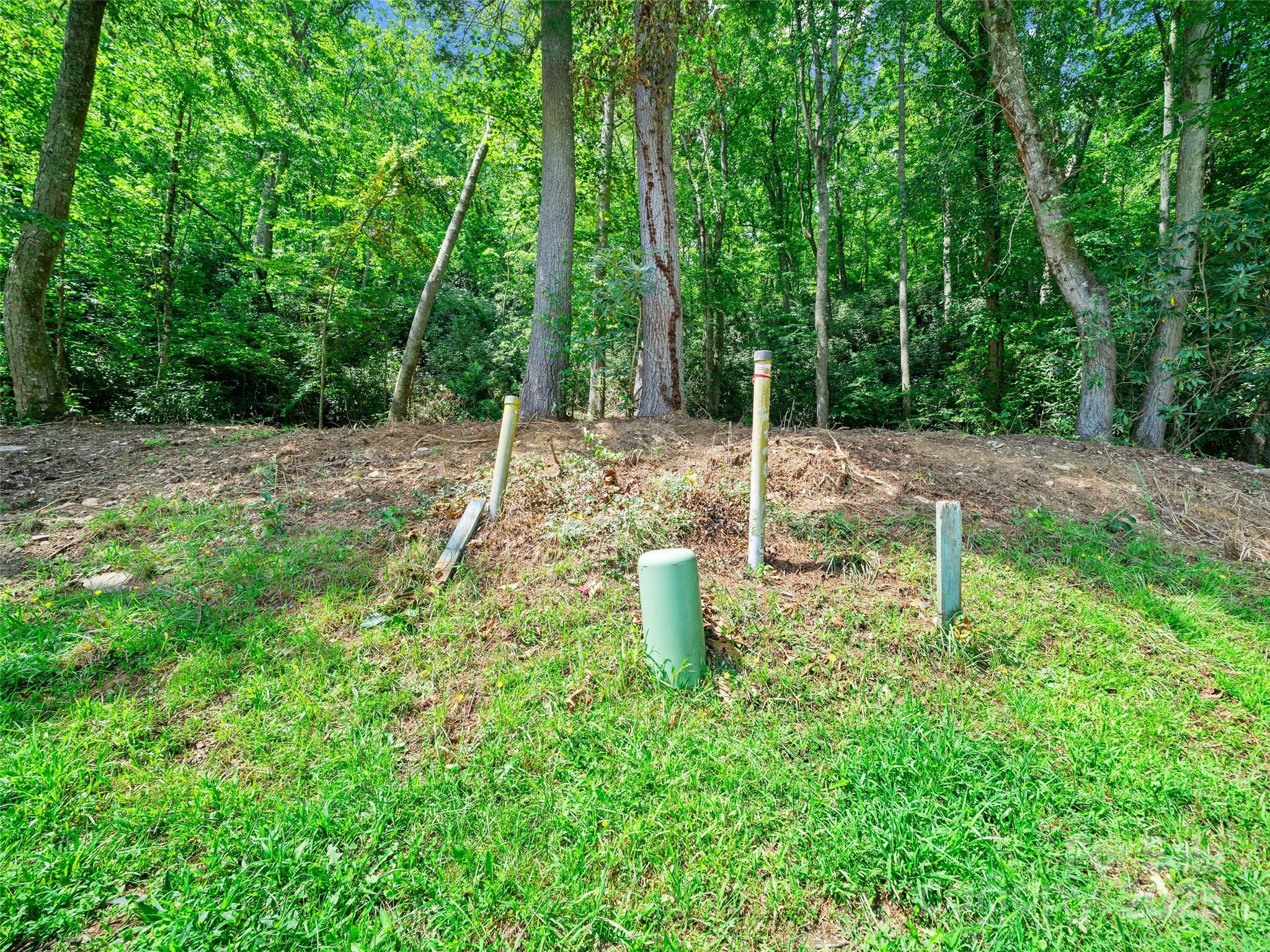 99999 Mistletoe Trail Hendersonville NC 28791