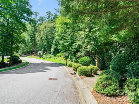 99999 Mistletoe Trail Hendersonville NC 28791