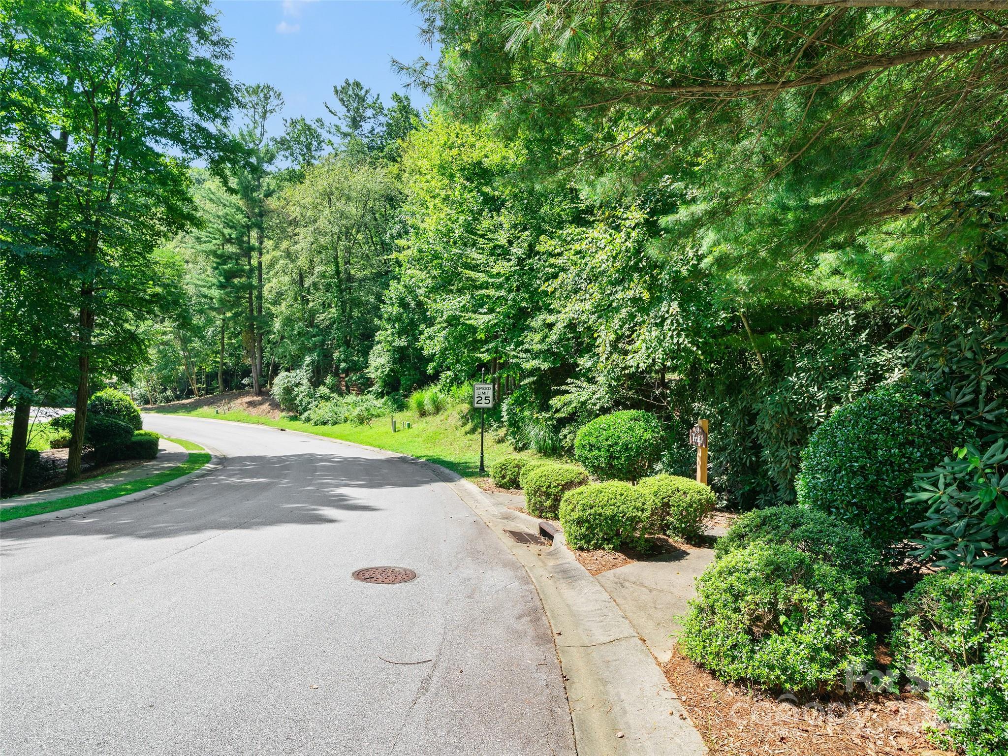 99999 Mistletoe Trail Hendersonville NC 28791