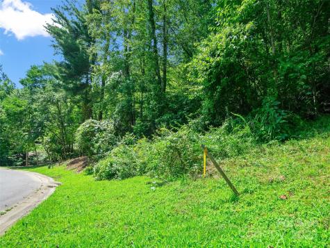 99999 Mistletoe Trail Hendersonville NC 28791
