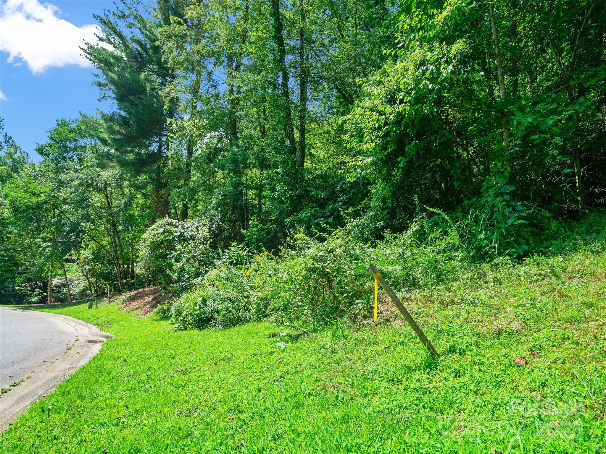 99999 Mistletoe Trail Hendersonville NC 28791