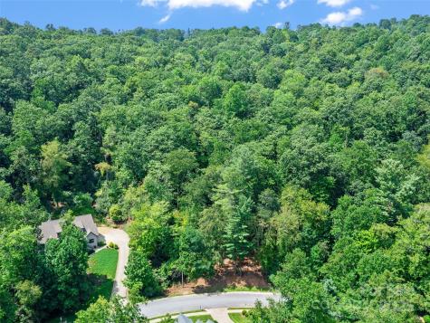 99999 Mistletoe Trail Hendersonville NC 28791