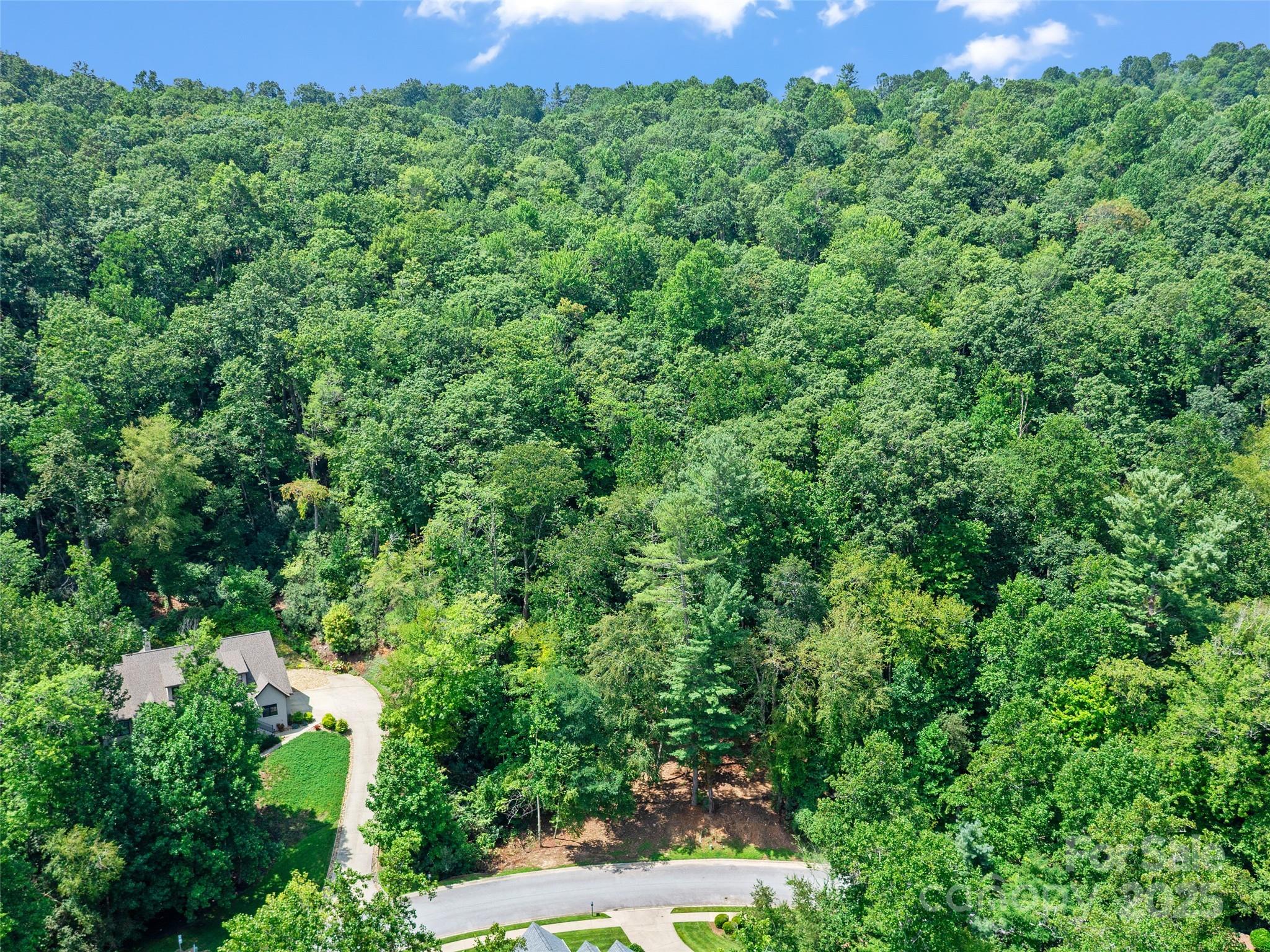 99999 Mistletoe Trail Hendersonville NC 28791