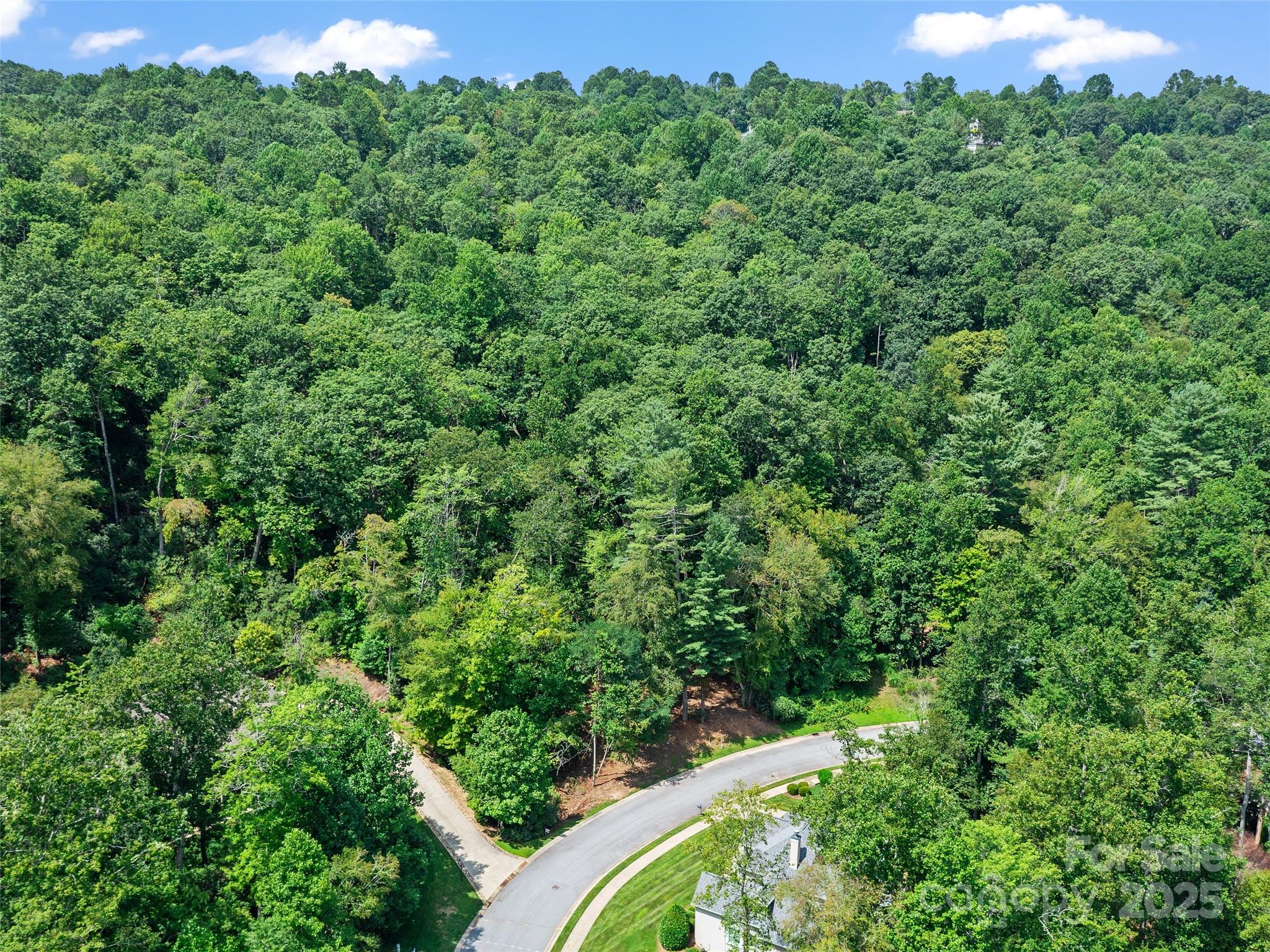 99999 Mistletoe Trail Hendersonville NC 28791
