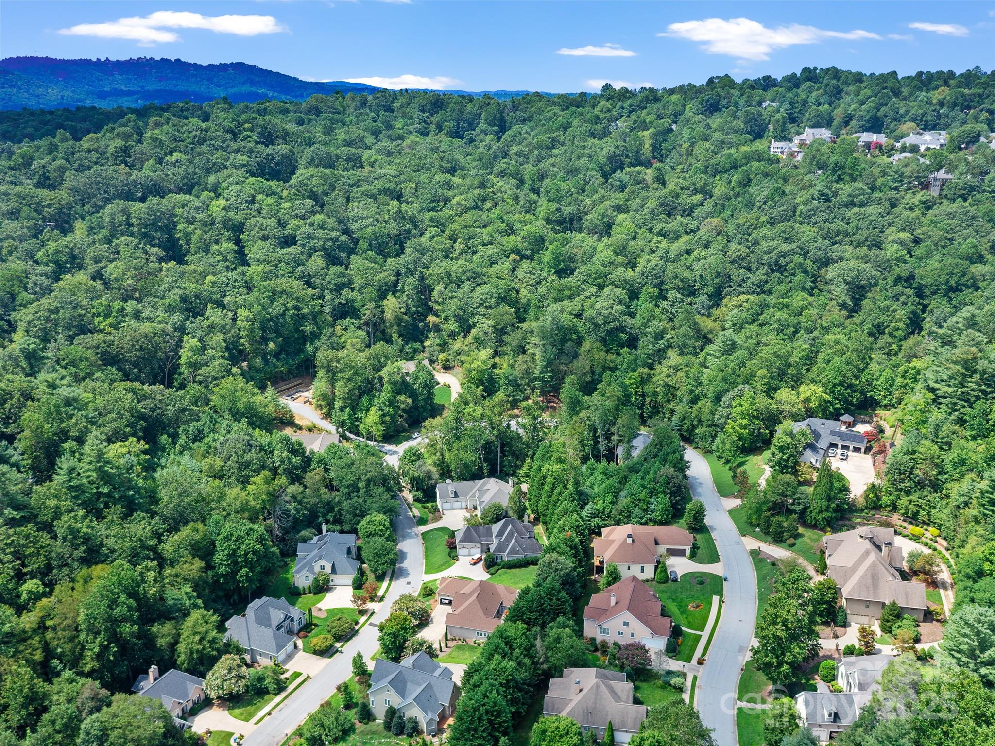 99999 Mistletoe Trail Hendersonville NC 28791