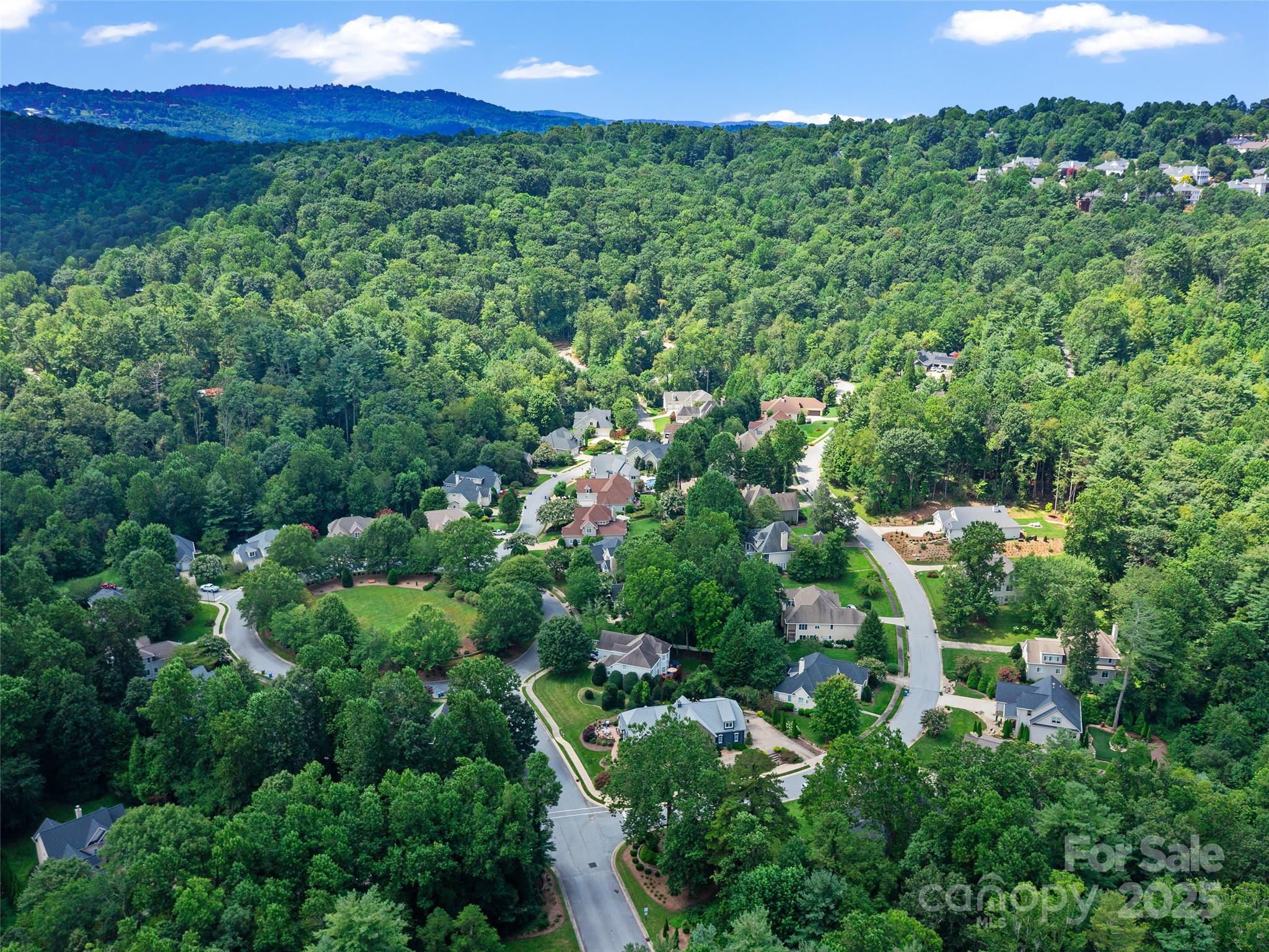 99999 Mistletoe Trail Hendersonville NC 28791