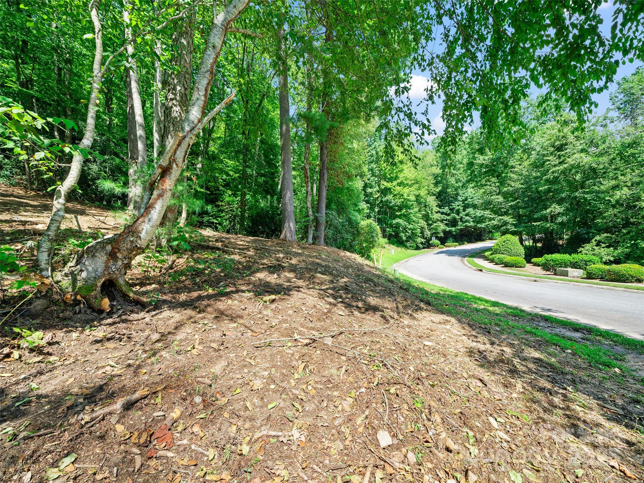 99999 Mistletoe Trail Hendersonville NC 28791