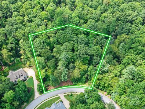 99999 Mistletoe Trail Hendersonville NC 28791