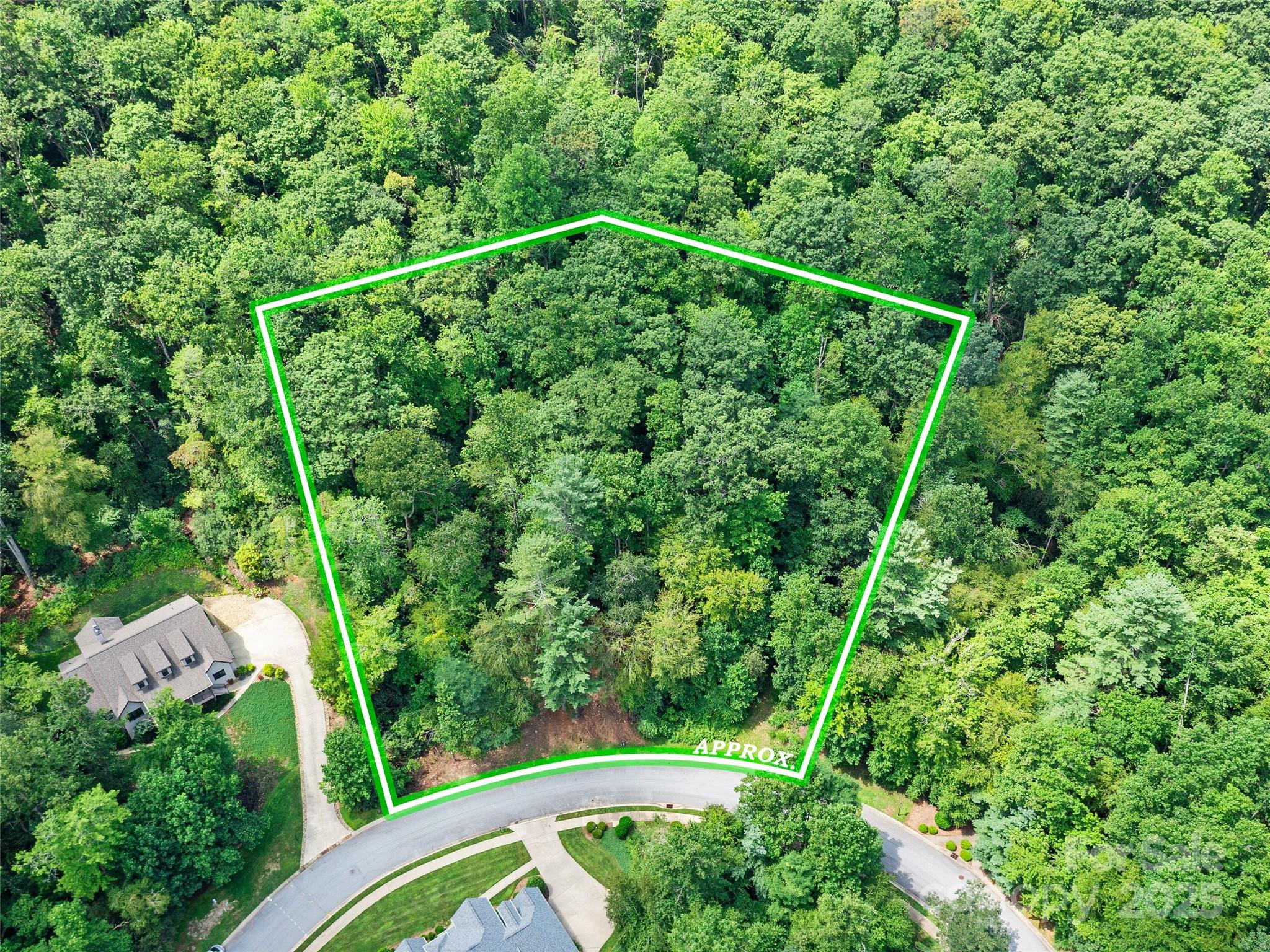 99999 Mistletoe Trail Hendersonville NC 28791
