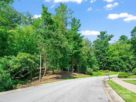 99999 Mistletoe Trail Hendersonville NC 28791