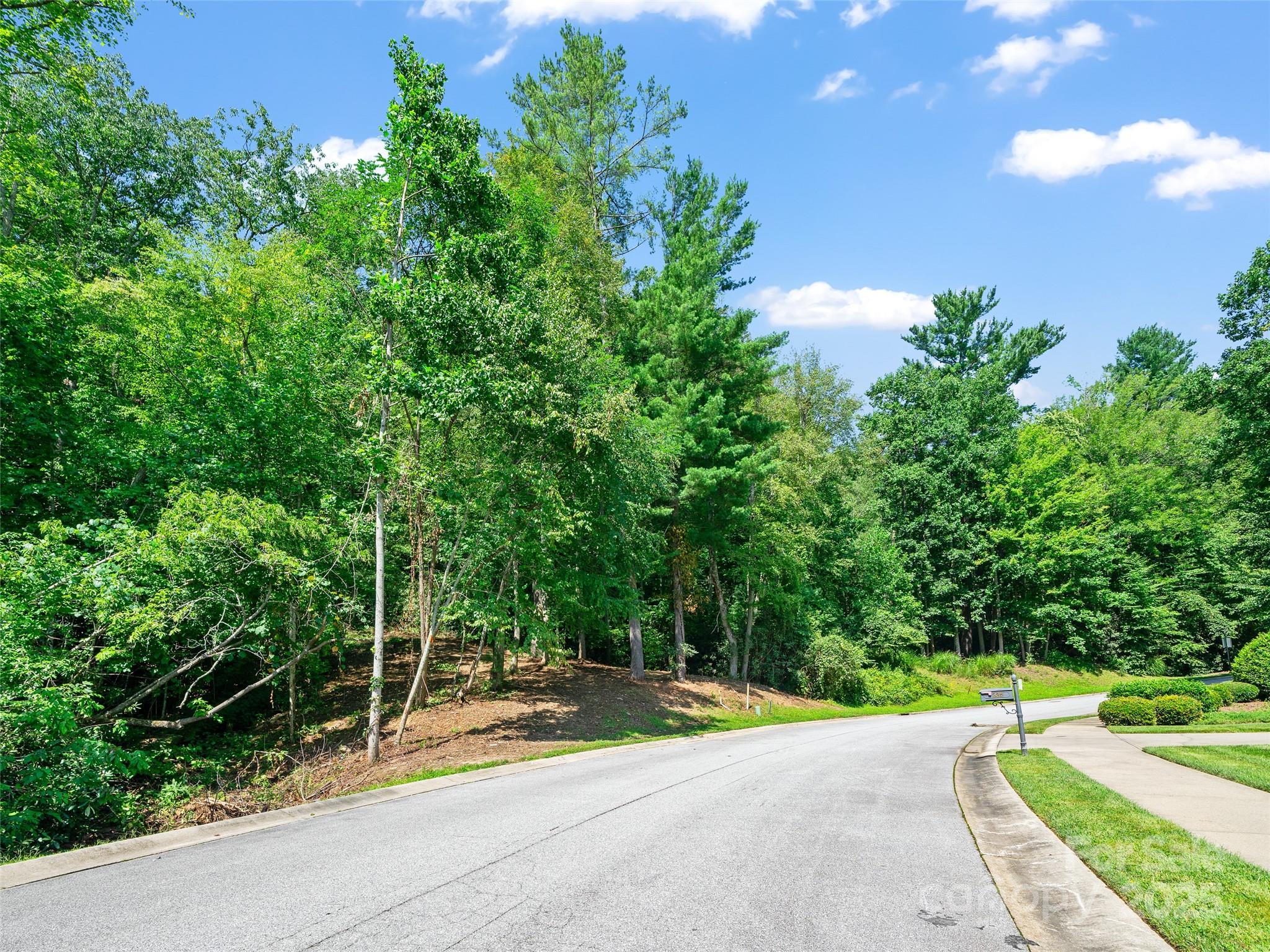 99999 Mistletoe Trail Hendersonville NC 28791