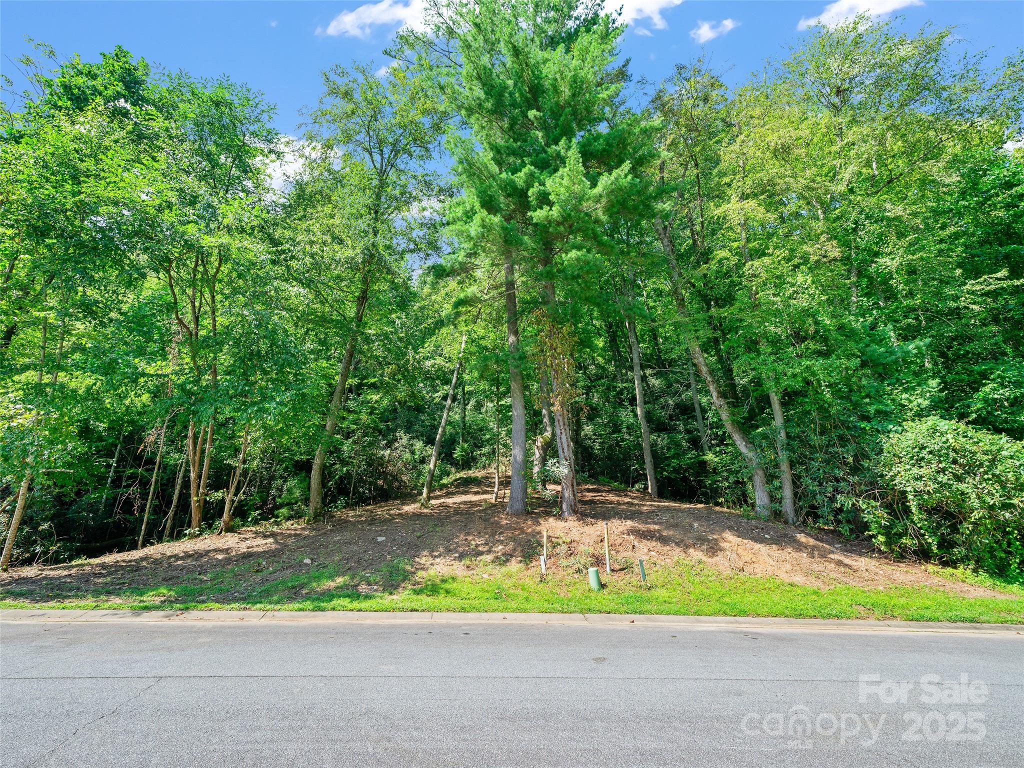 99999 Mistletoe Trail Hendersonville NC 28791