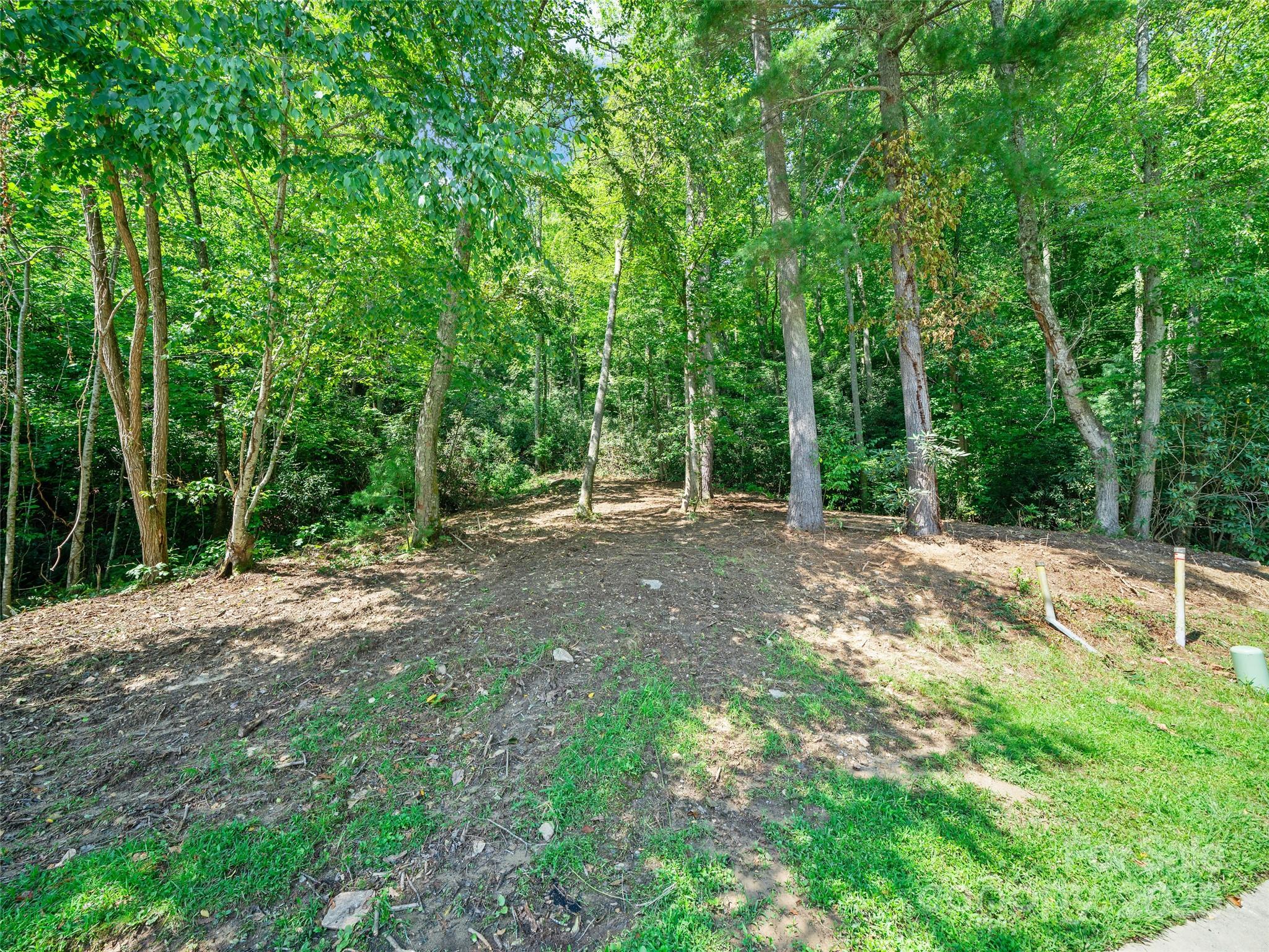 99999 Mistletoe Trail Hendersonville NC 28791