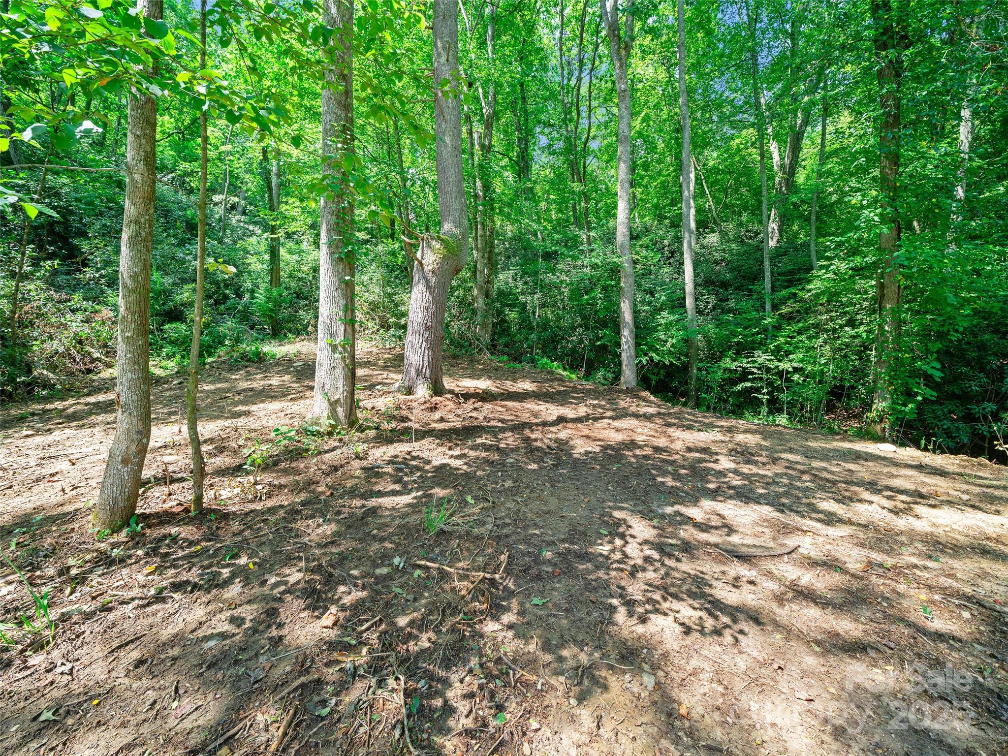 99999 Mistletoe Trail Hendersonville NC 28791