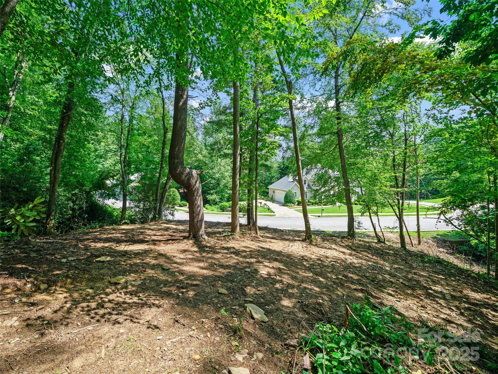 99999 Mistletoe Trail Hendersonville NC 28791