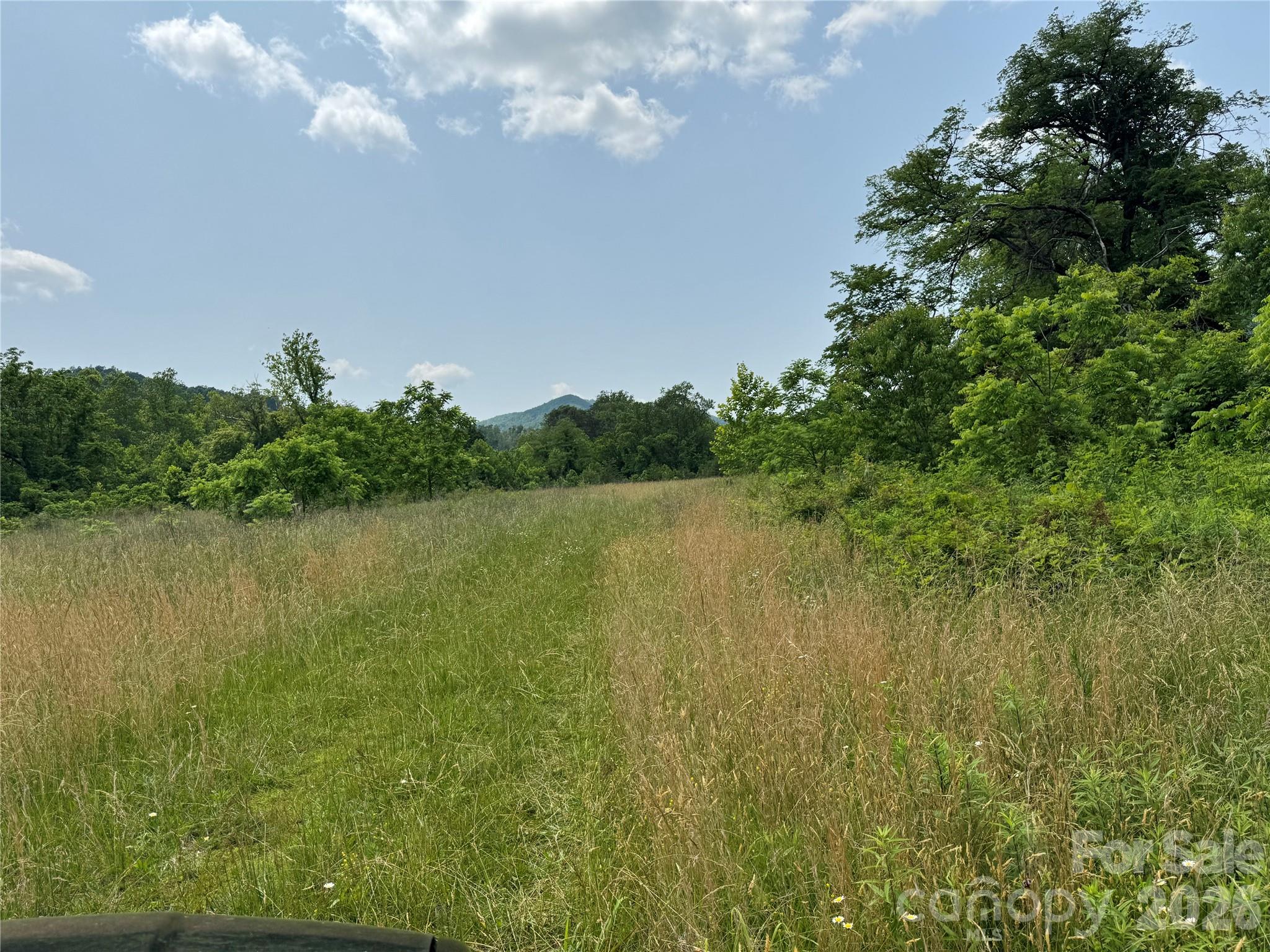 187 Hodges Creek Road Old Fort NC 28762