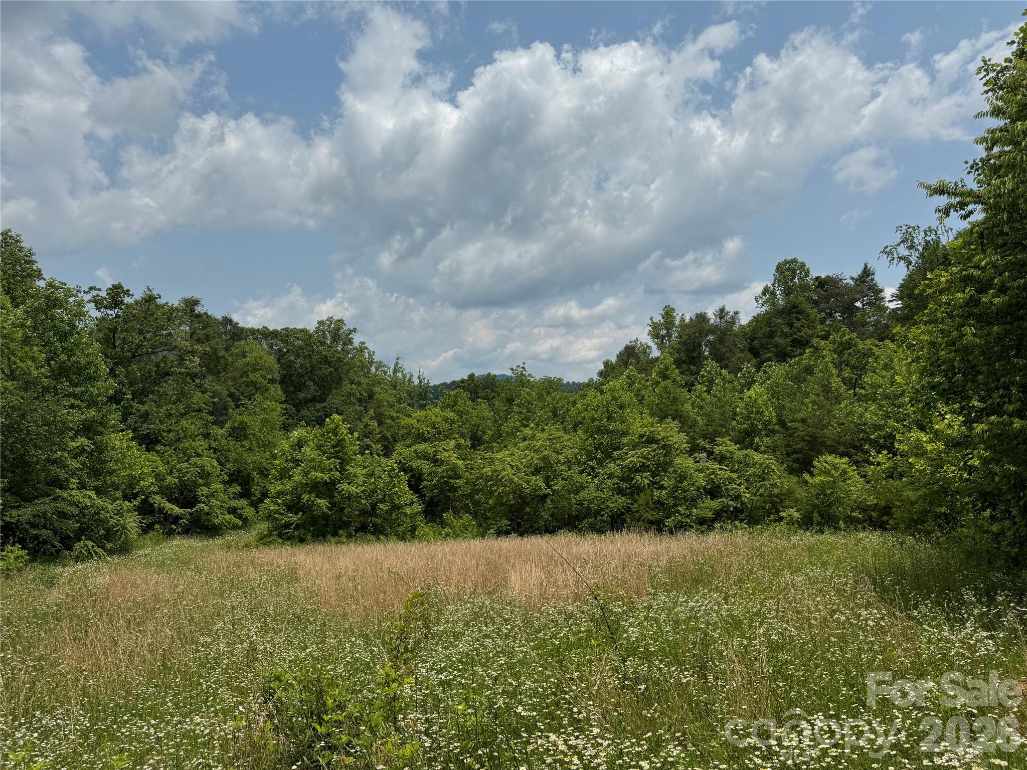 187 Hodges Creek Road Old Fort NC 28762