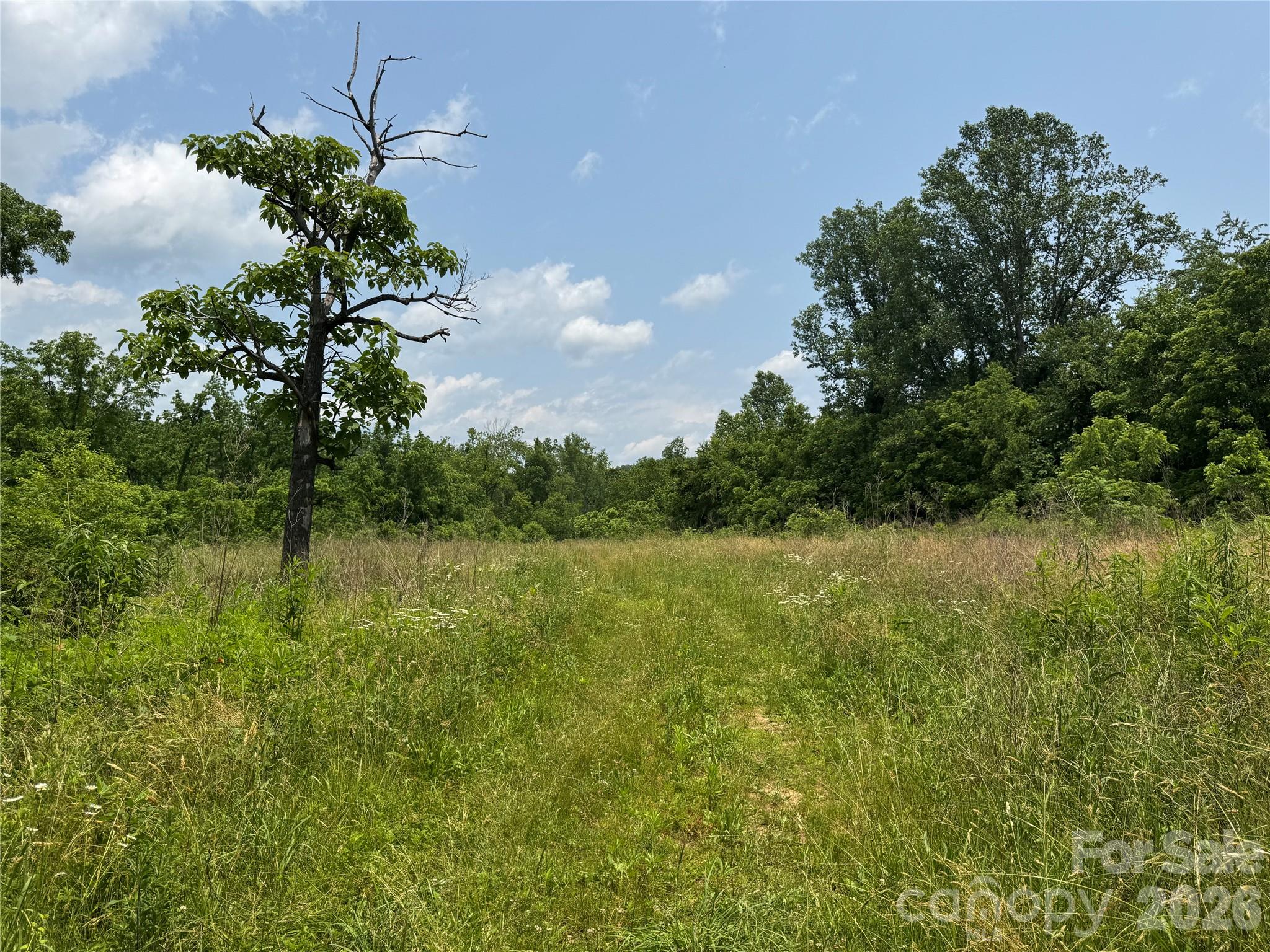 187 Hodges Creek Road Old Fort NC 28762