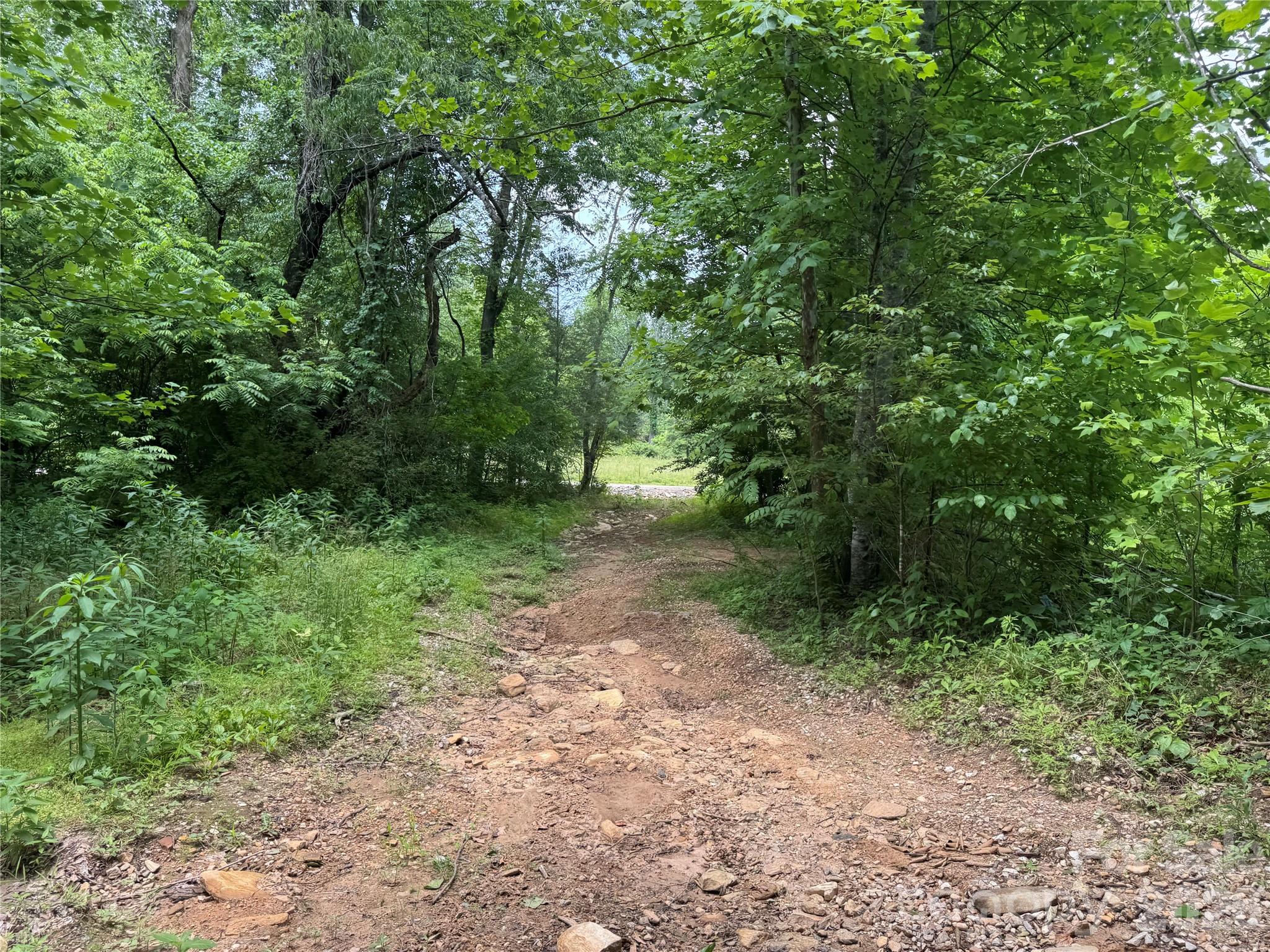 187 Hodges Creek Road Old Fort NC 28762