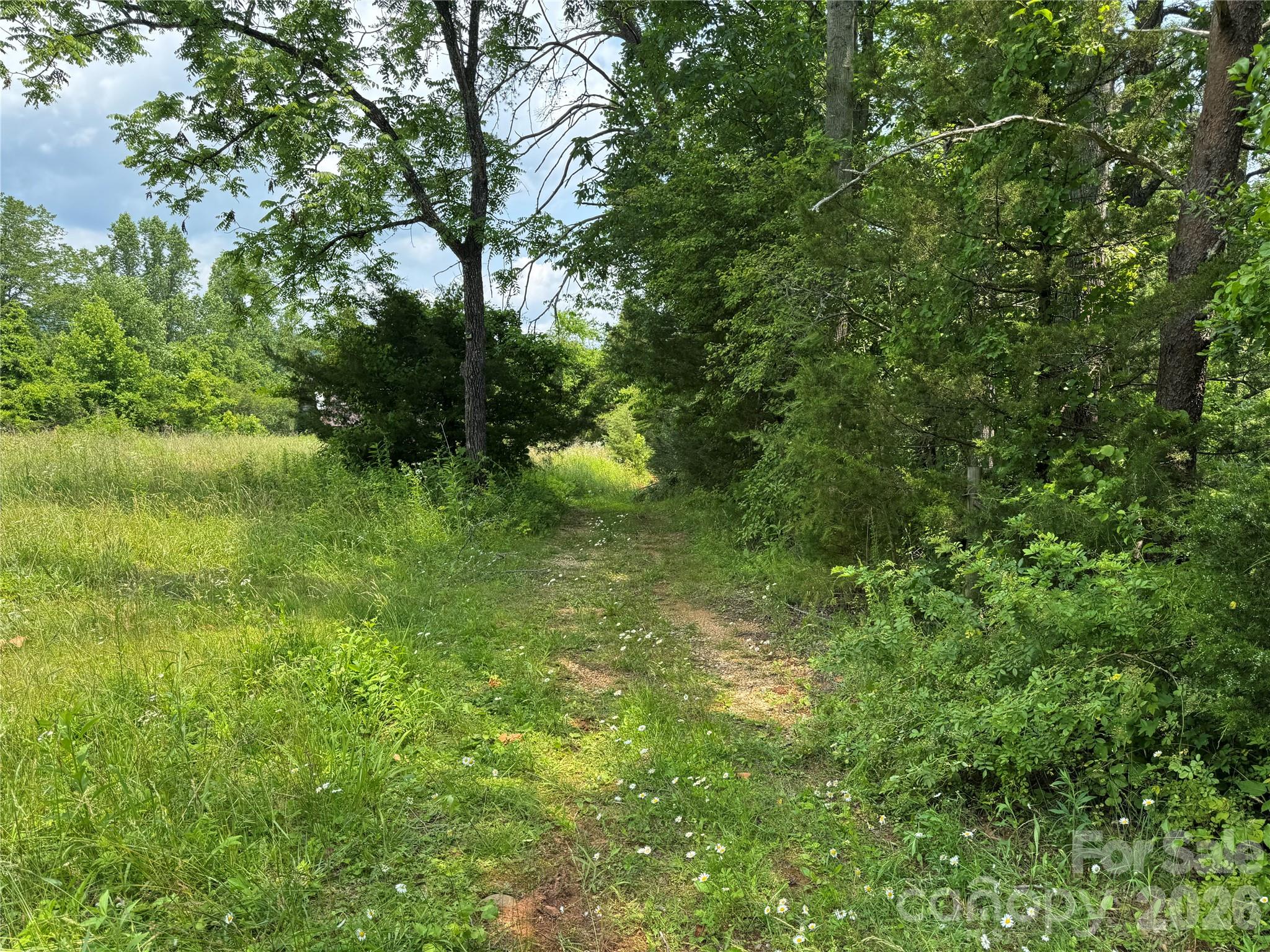 187 Hodges Creek Road Old Fort NC 28762