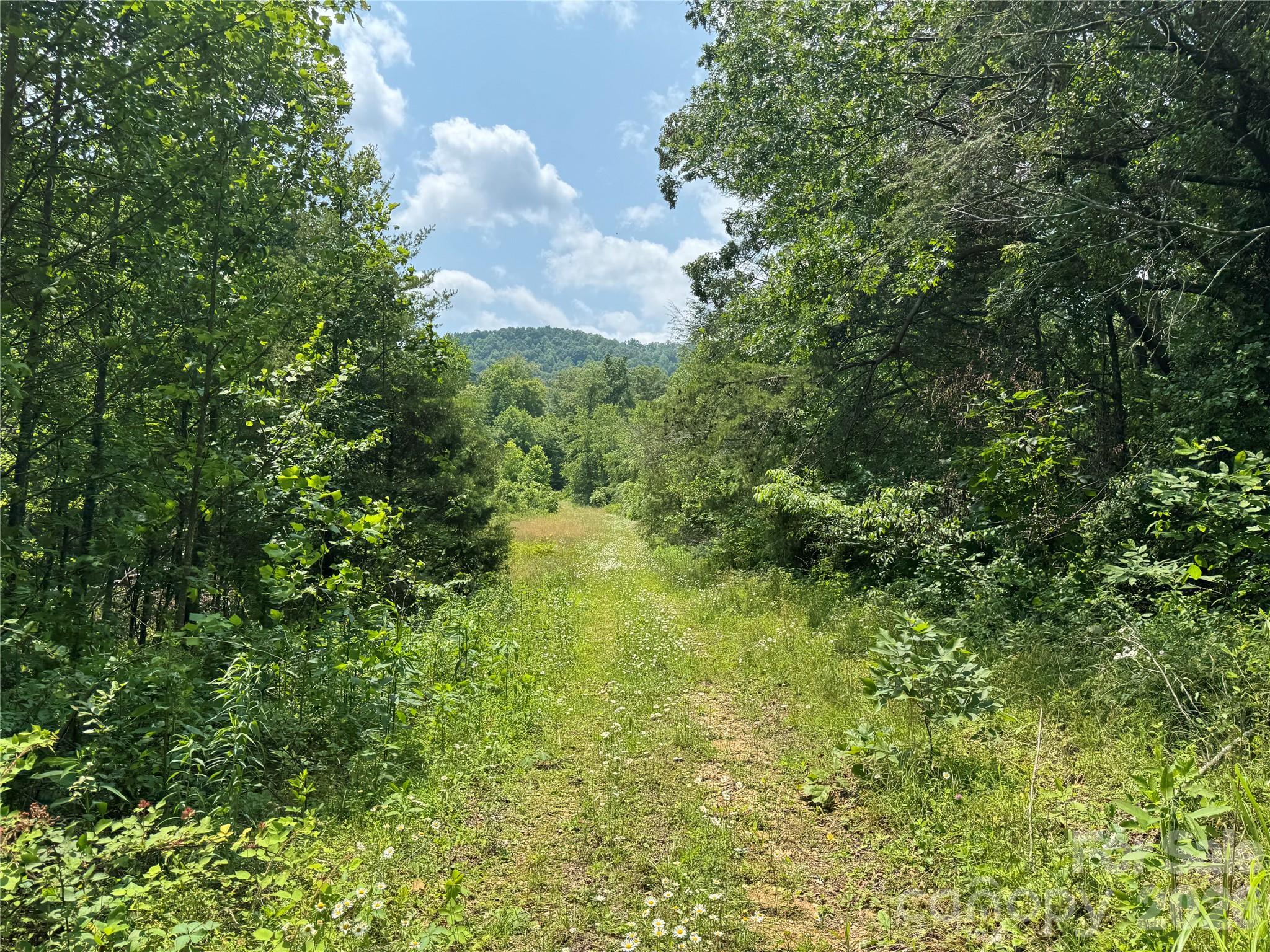 187 Hodges Creek Road Old Fort NC 28762