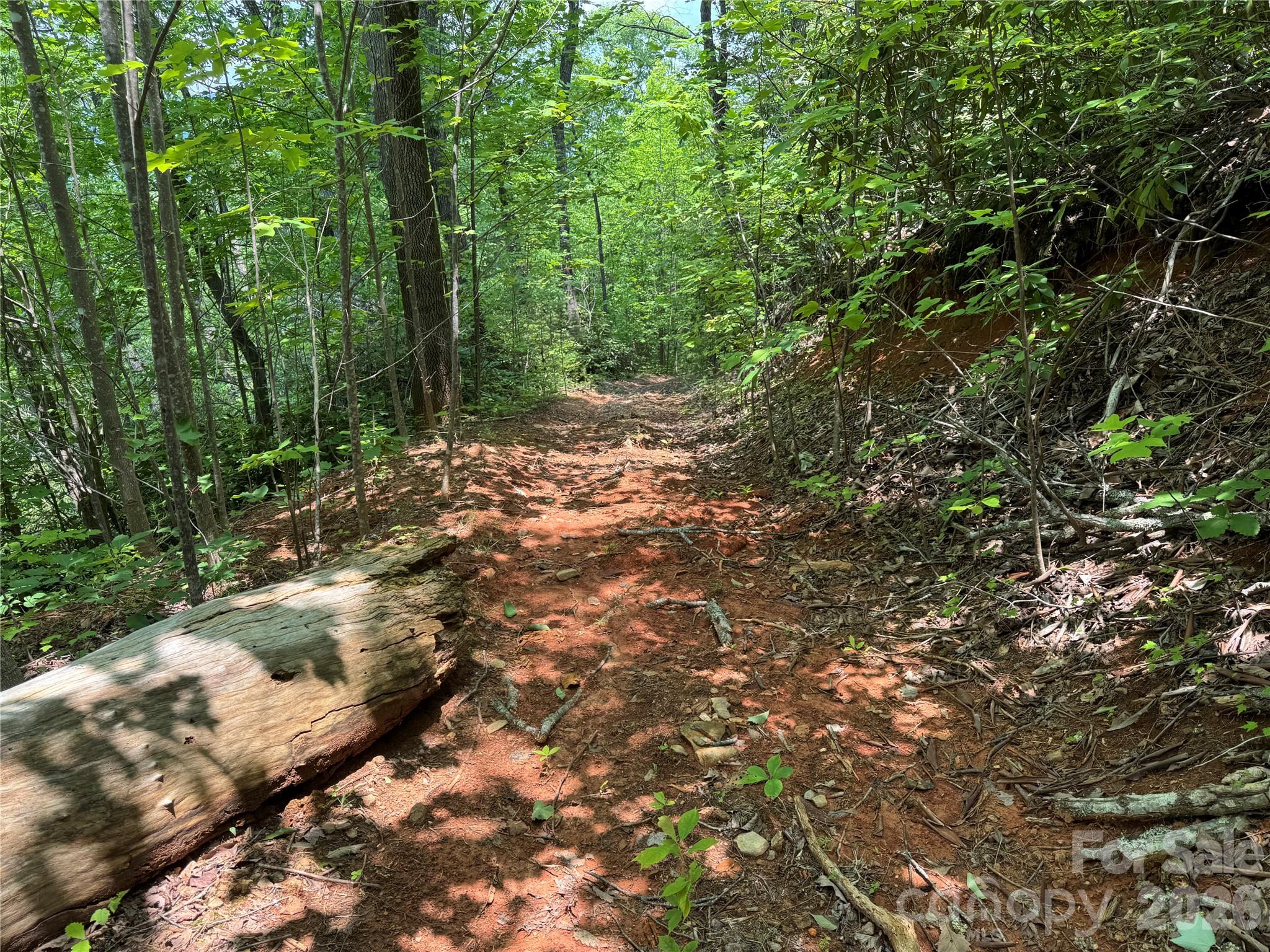187 Hodges Creek Road Old Fort NC 28762