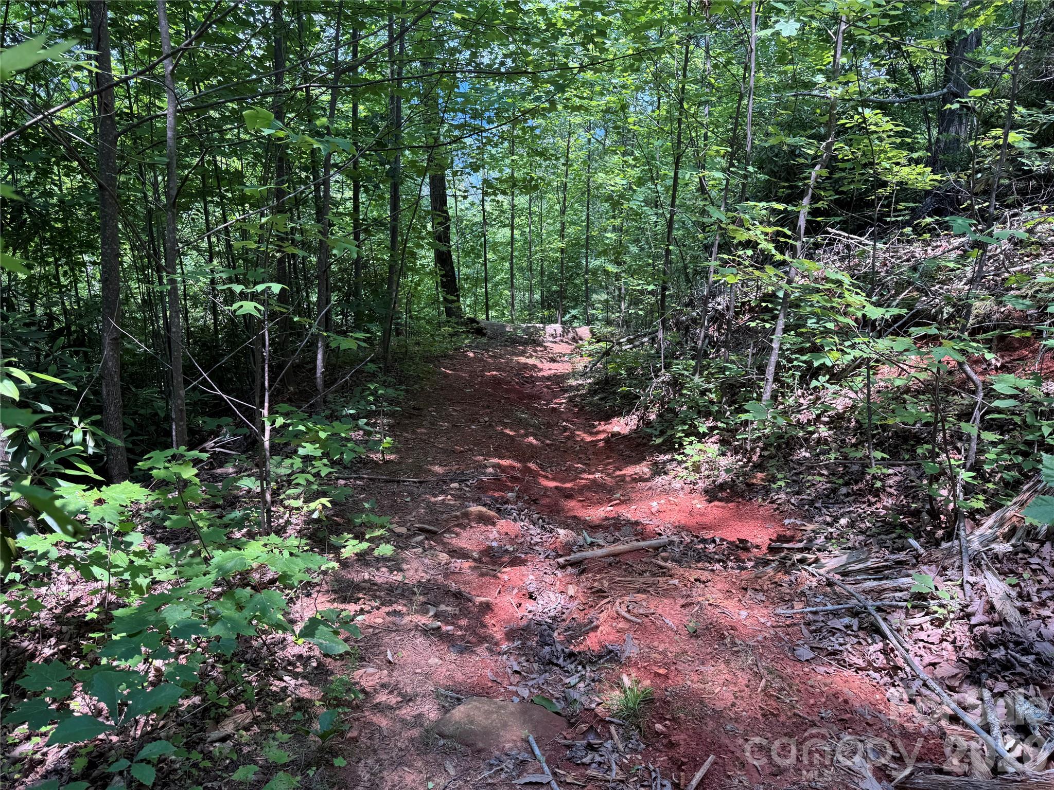 187 Hodges Creek Road Old Fort NC 28762