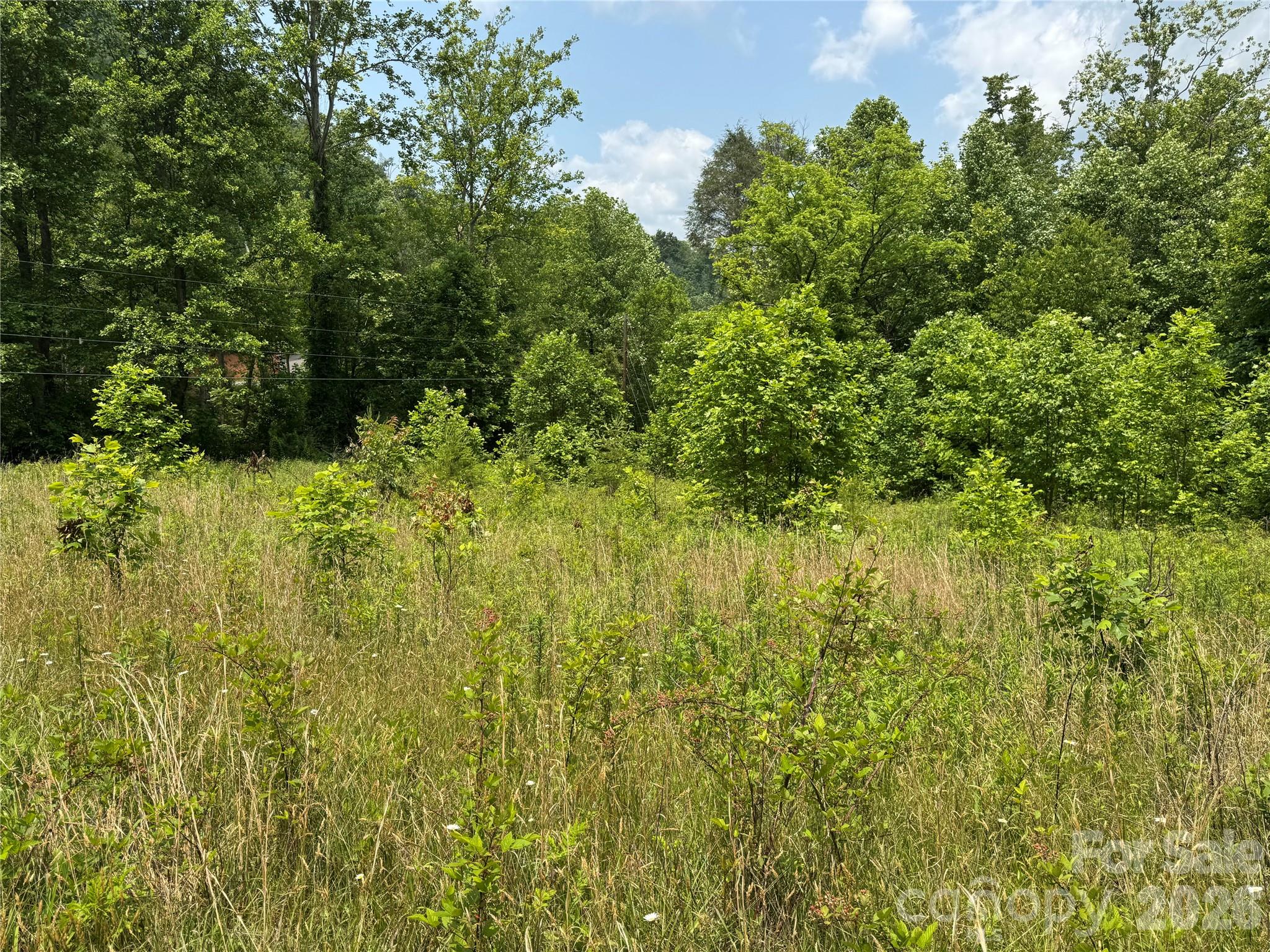 187 Hodges Creek Road Old Fort NC 28762