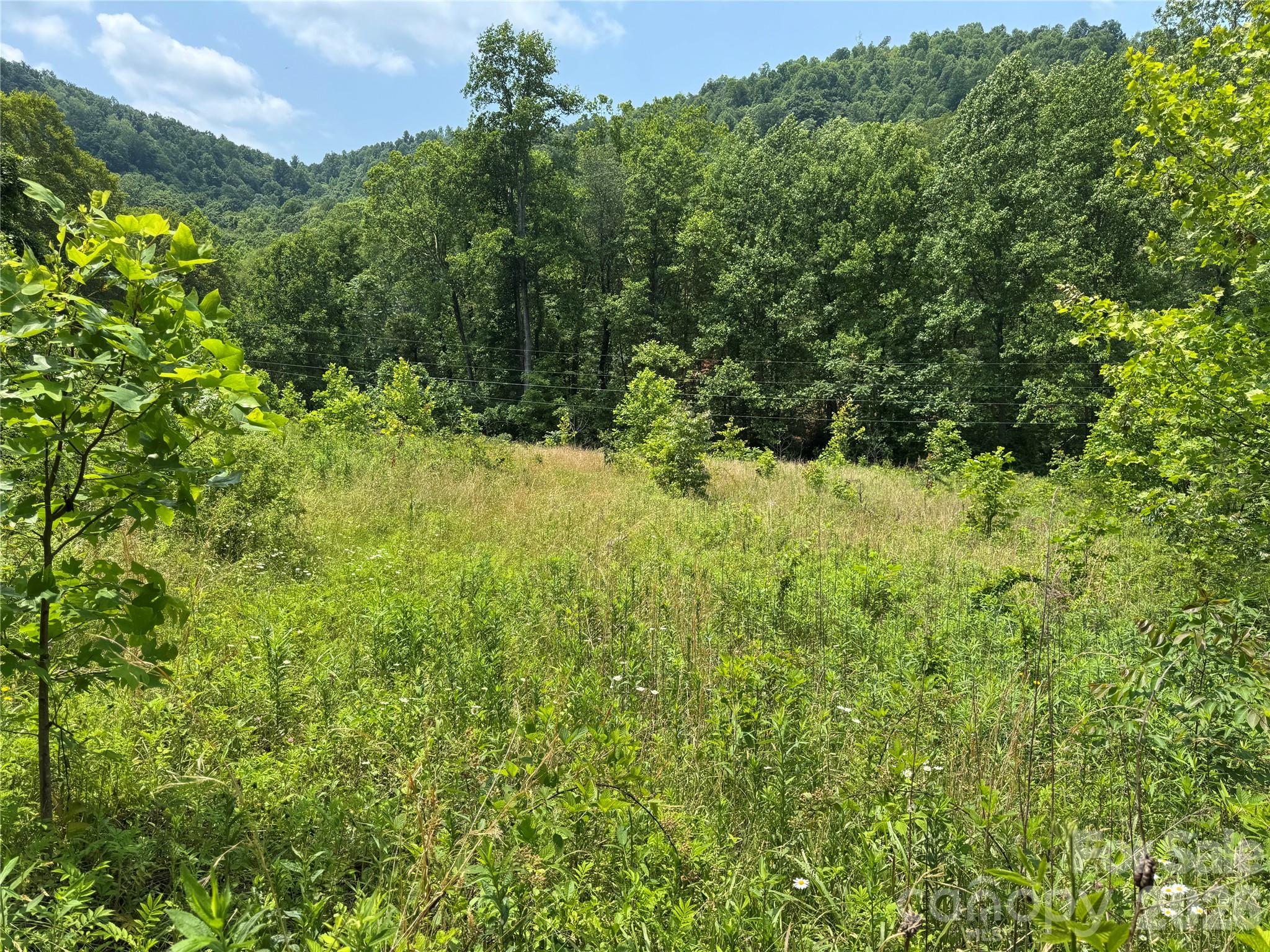 187 Hodges Creek Road Old Fort NC 28762
