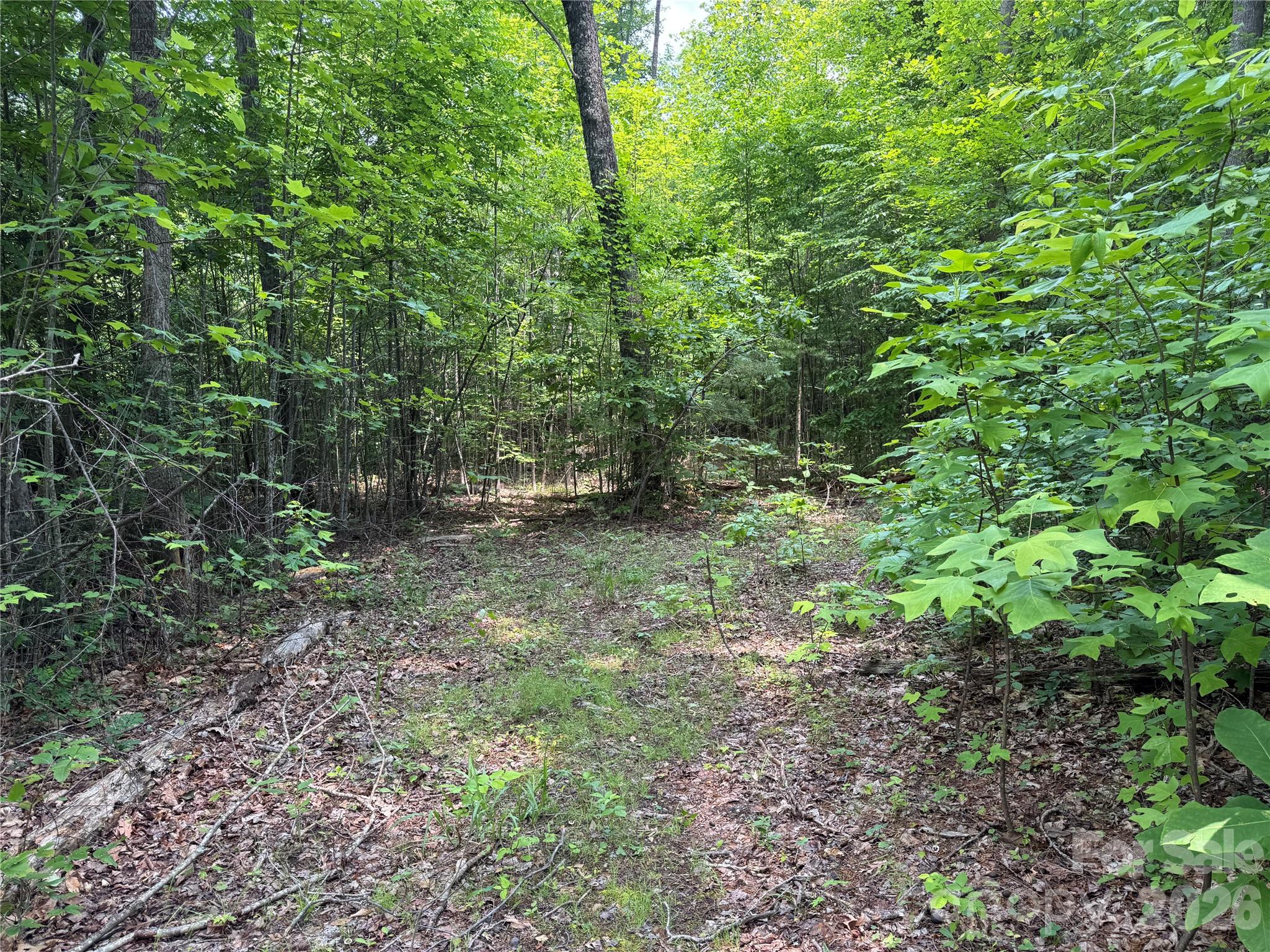 187 Hodges Creek Road Old Fort NC 28762