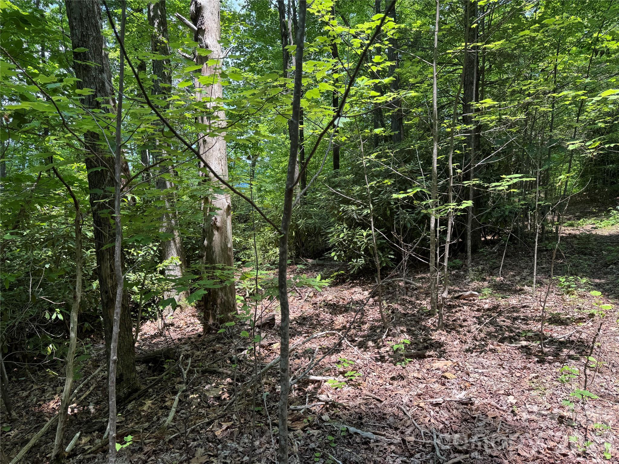 187 Hodges Creek Road Old Fort NC 28762