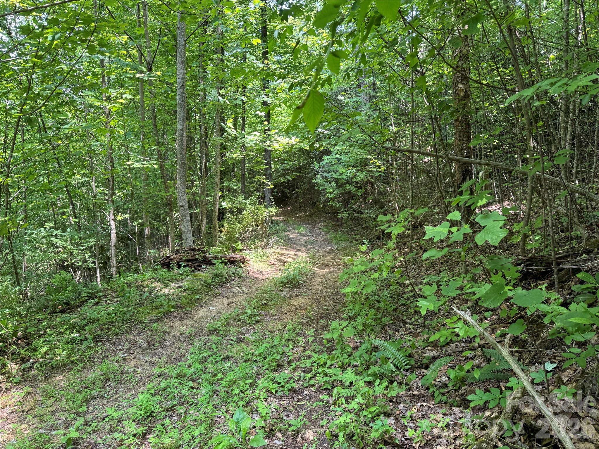187 Hodges Creek Road Old Fort NC 28762