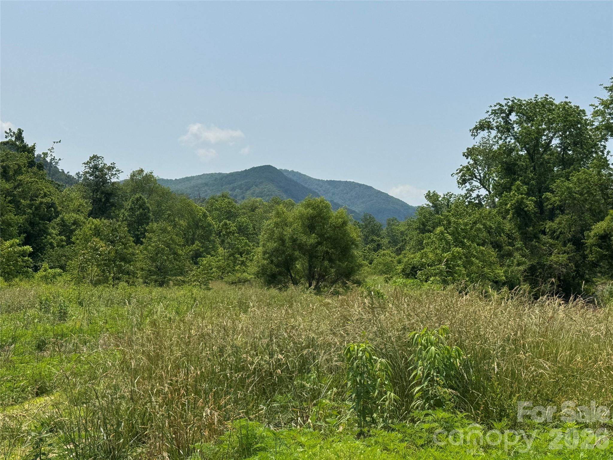 187 Hodges Creek Road Old Fort NC 28762