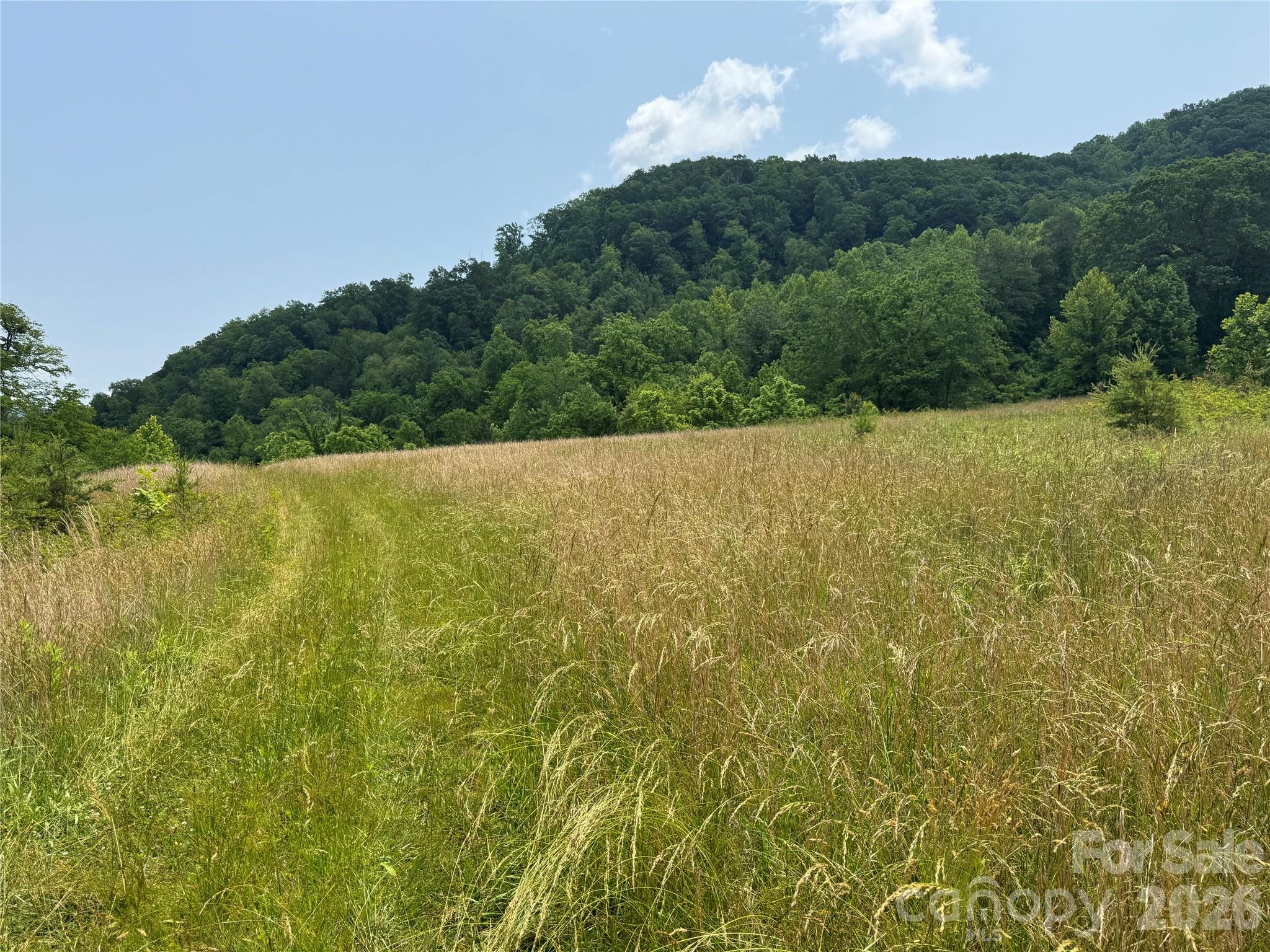 187 Hodges Creek Road Old Fort NC 28762