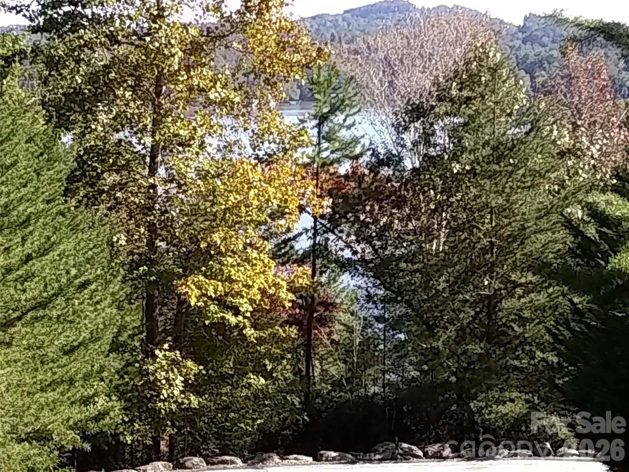 0 Hilltop Lake Lure NC 28746