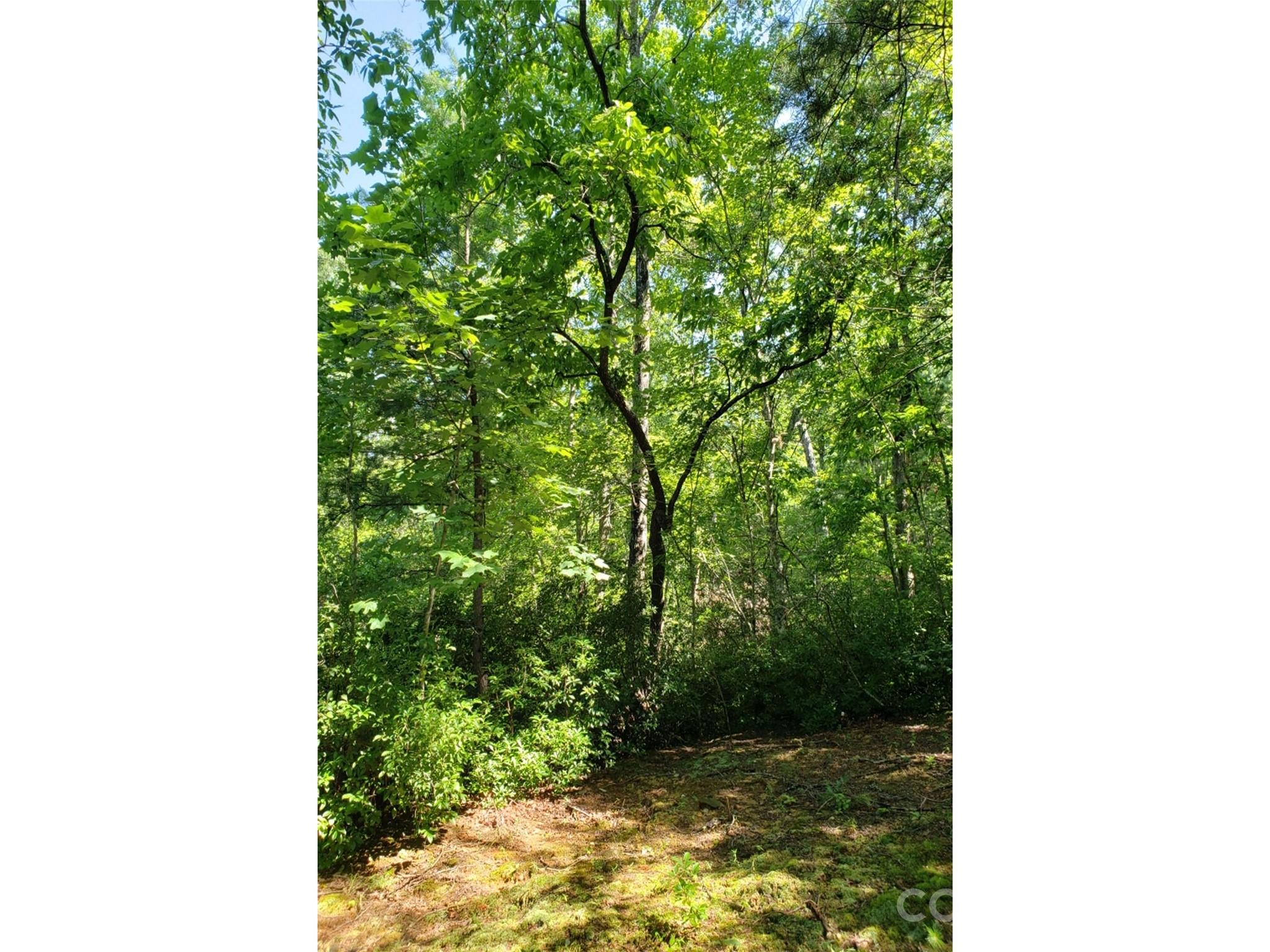 0 Hilltop Lake Lure NC 28746