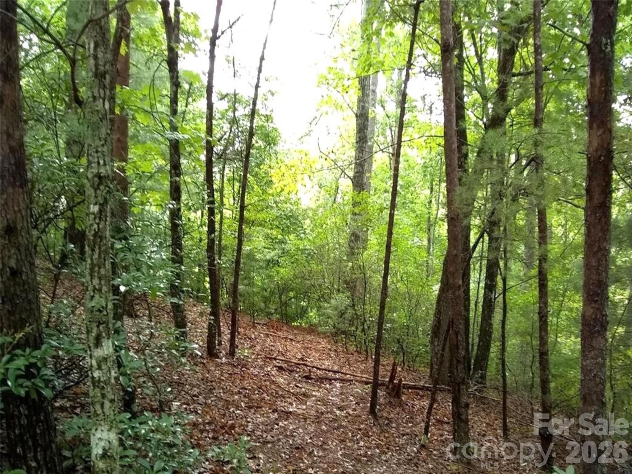 0 Hilltop Lake Lure NC 28746