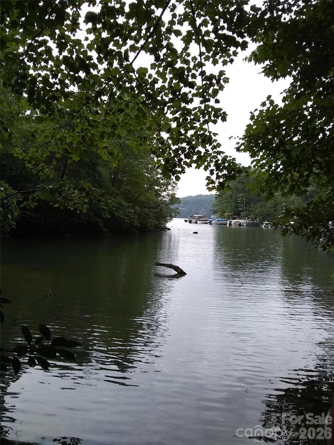 0 Hilltop Lake Lure NC 28746