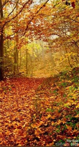 Lot E6 Unula Loop Maggie Valley NC 28751