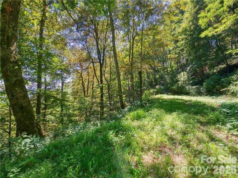 Lot E6 Unula Loop Maggie Valley NC 28751