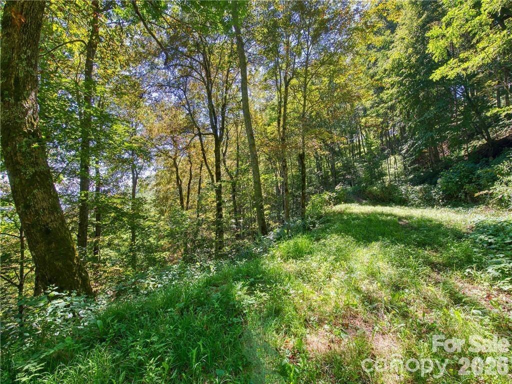 Lot E6 Unula Loop Maggie Valley NC 28751