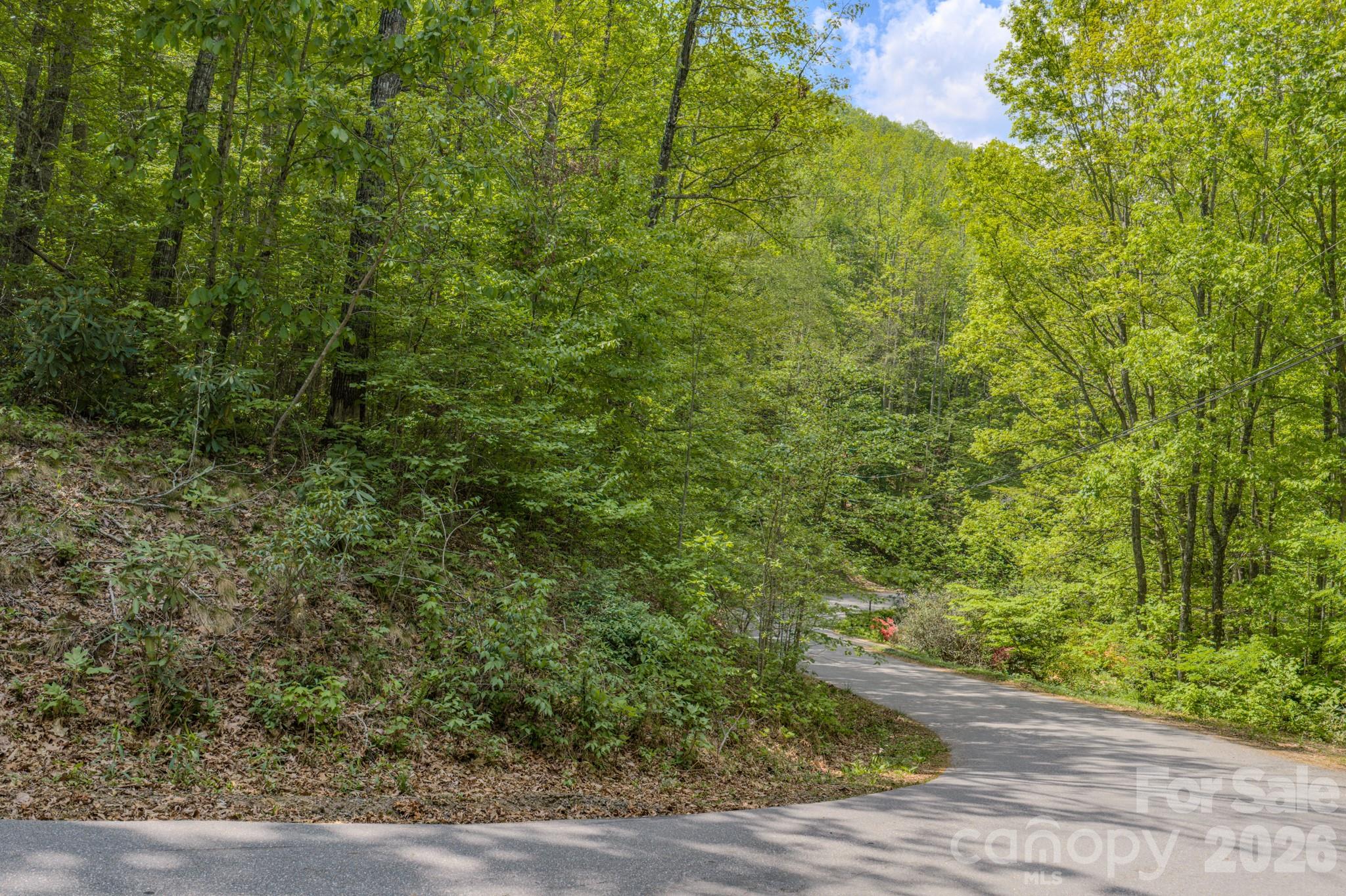 263 Mockingbird Road Swannanoa NC 28778